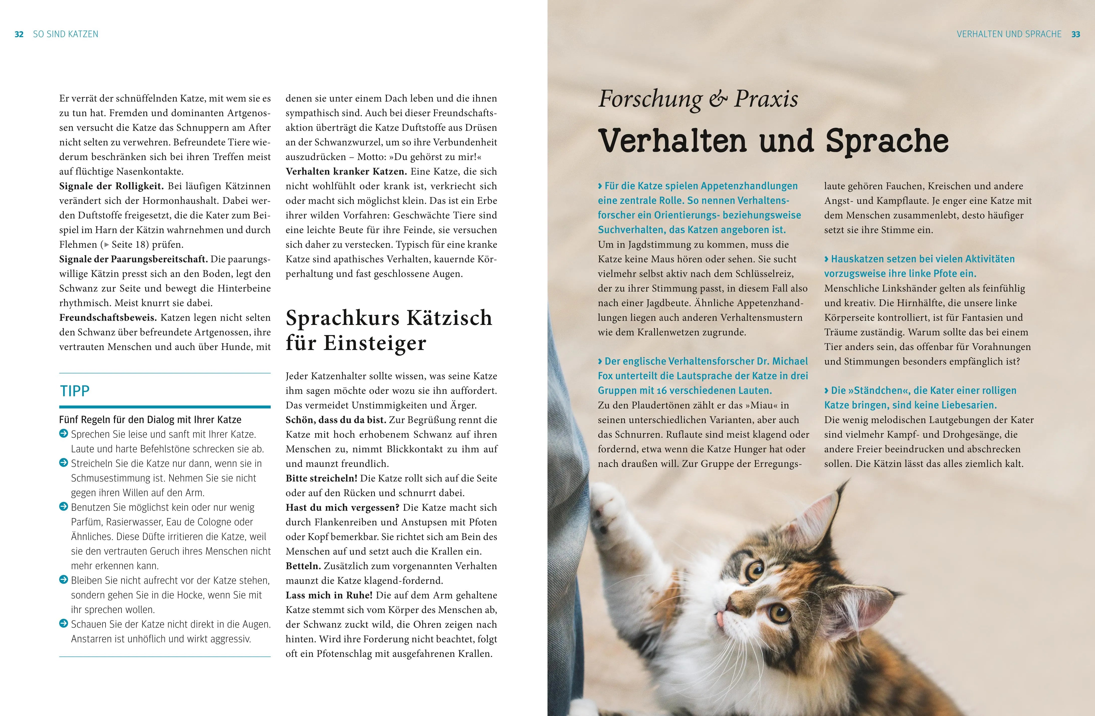 Gerd Ludwig - Praxishandbuch Katzen