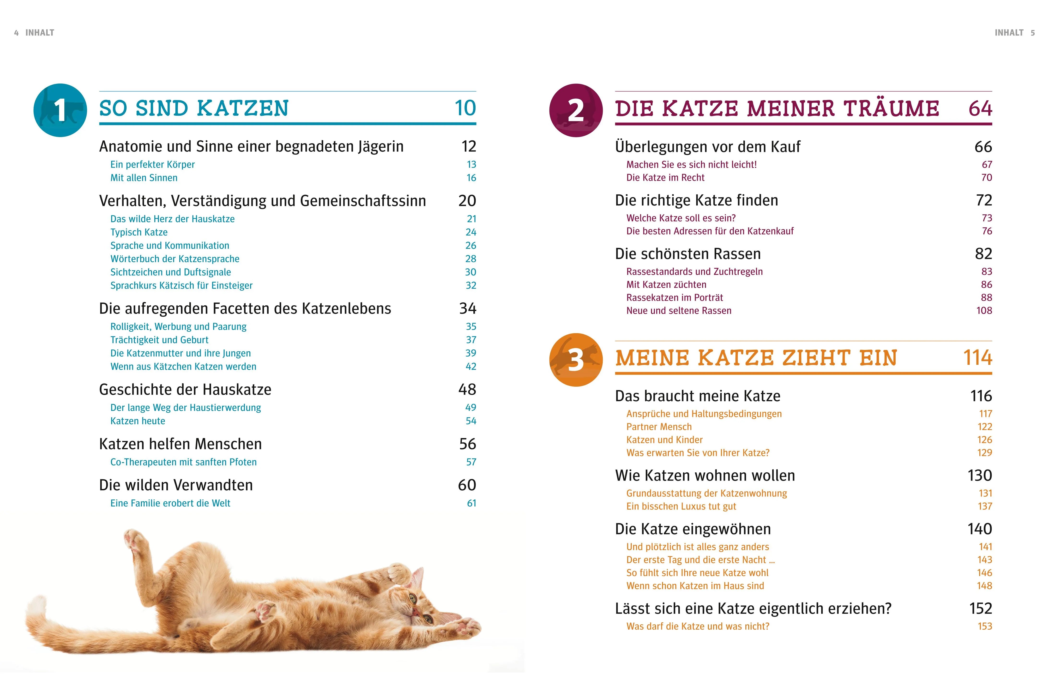 Produktansicht: Praxishandbuch Katzen (Gebundene Ausgabe)