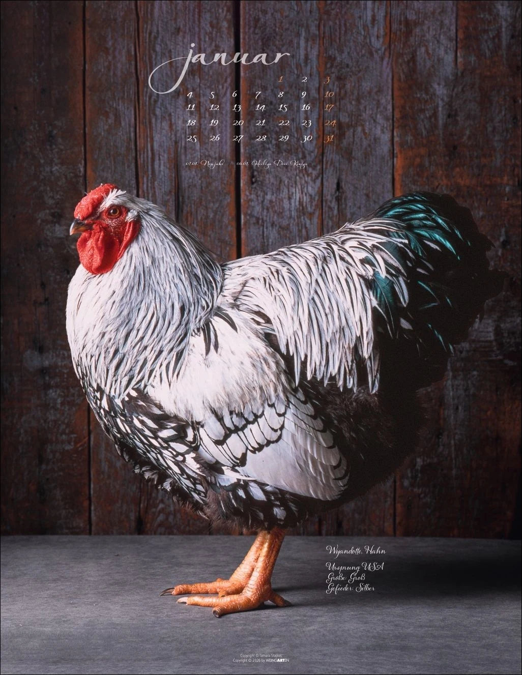 Pretty Chicks Kalender 2027 – Ansicht