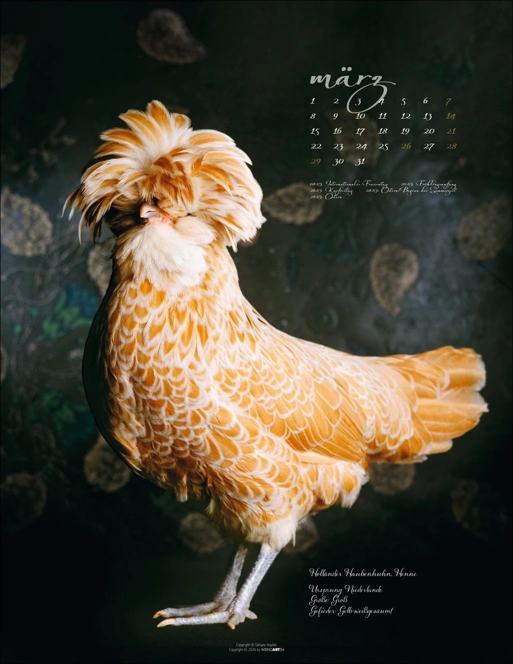 Pretty Chicks Kalender 2027 – Ansicht