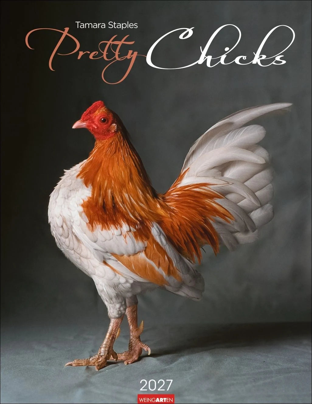 Wandkalender: Pretty Chicks Kalender 2027