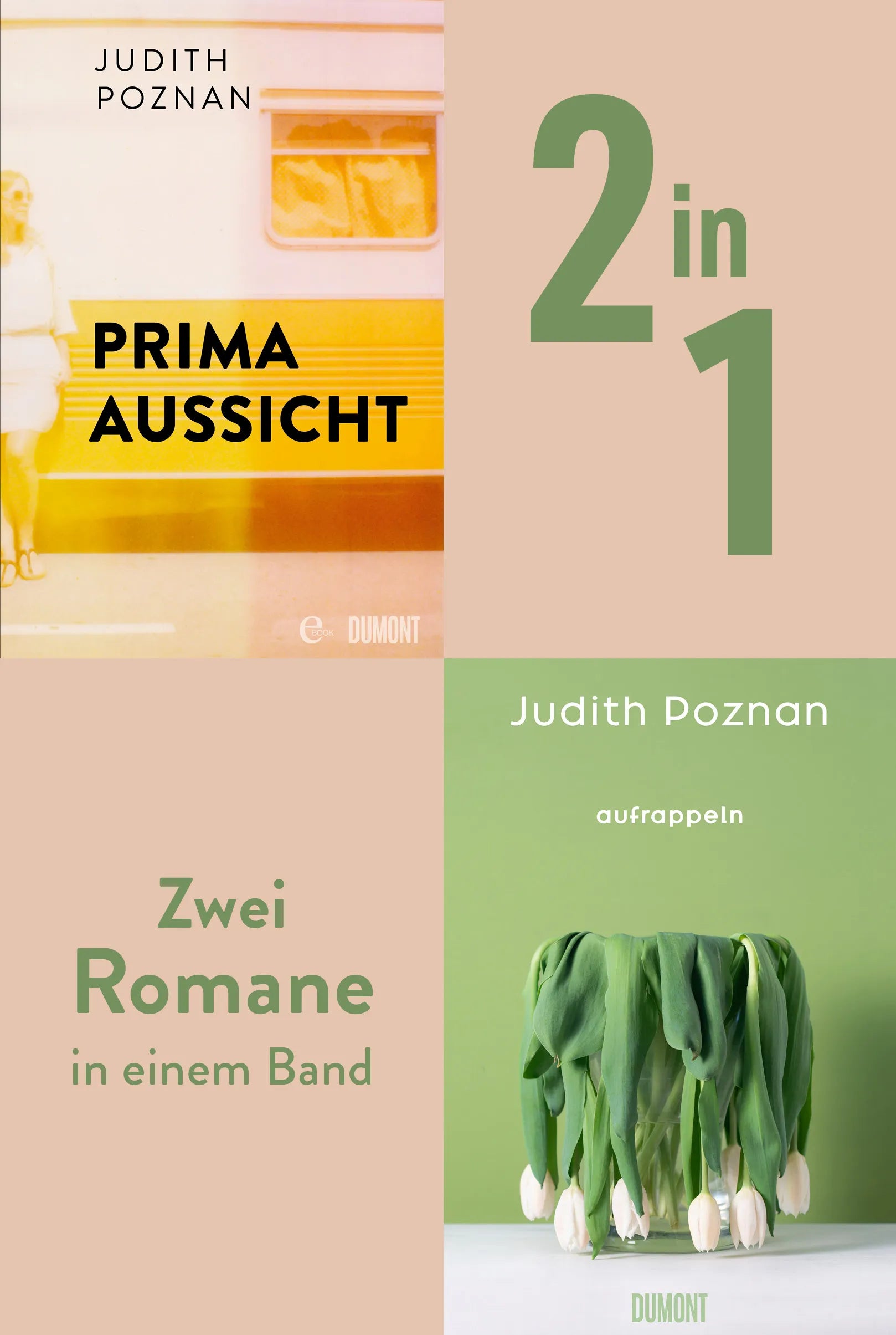 Cover: Prima Aussicht & Aufrappeln (E-Book) von Judith Poznan