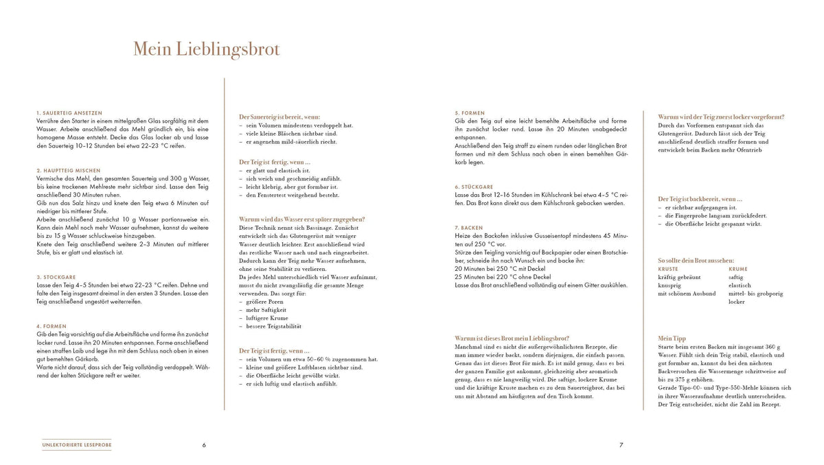 Detailansicht: Projekt Sauerteig (Hardcover)