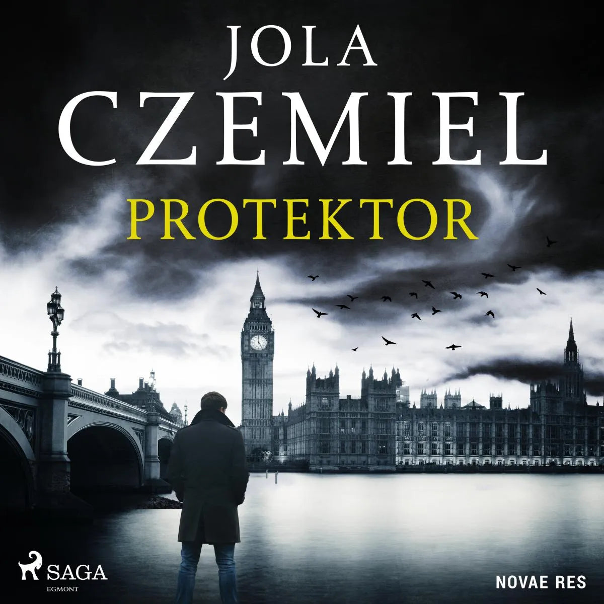 Cover: Protektor (Hörbuch Download) von Jola Czemiel