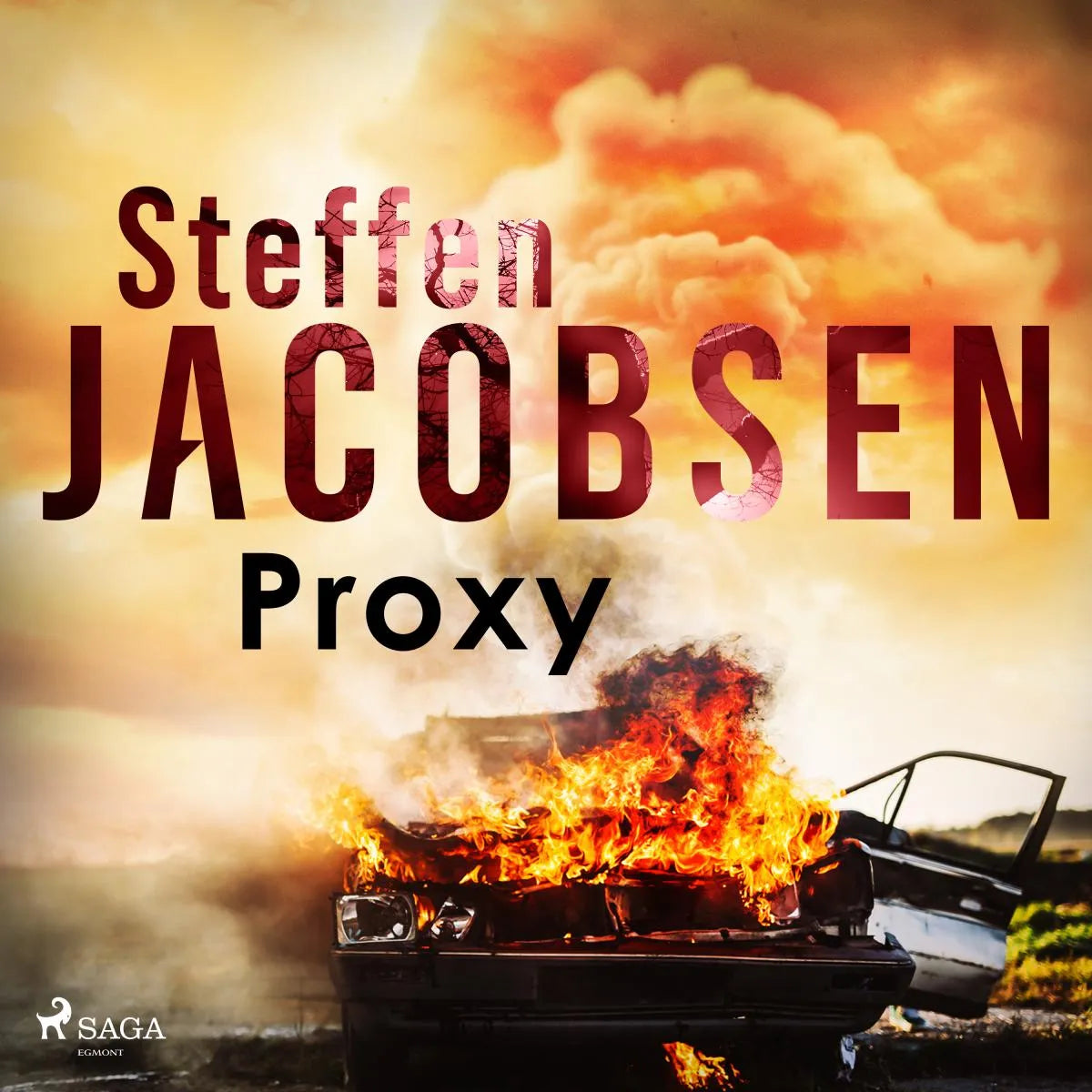Cover: Proxy (Hörbuch Download) von Steffen Jacobsen
