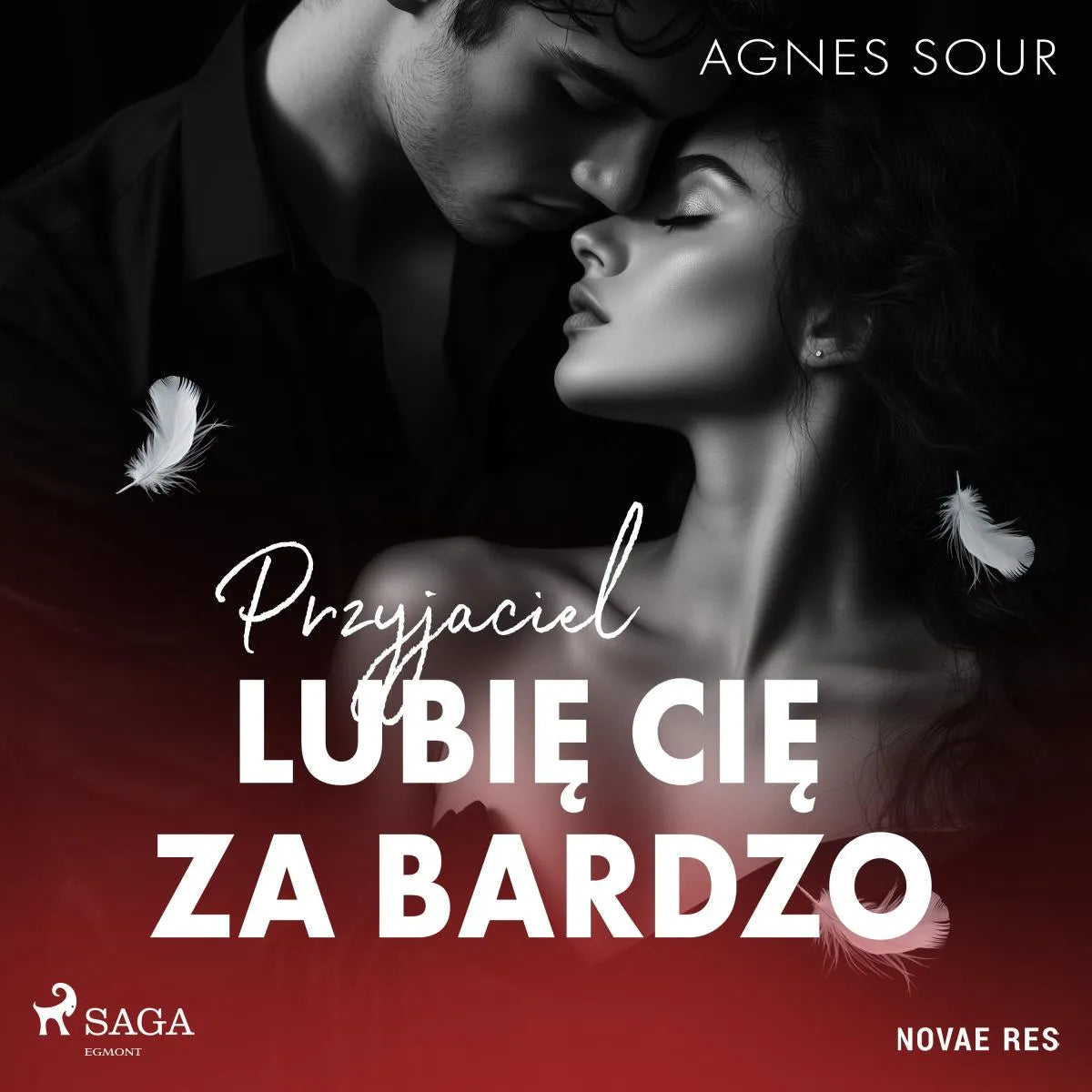 Cover: Przyjaciel. Lubię cię za bardzo (Hörbuch Download) von Agnes Sour