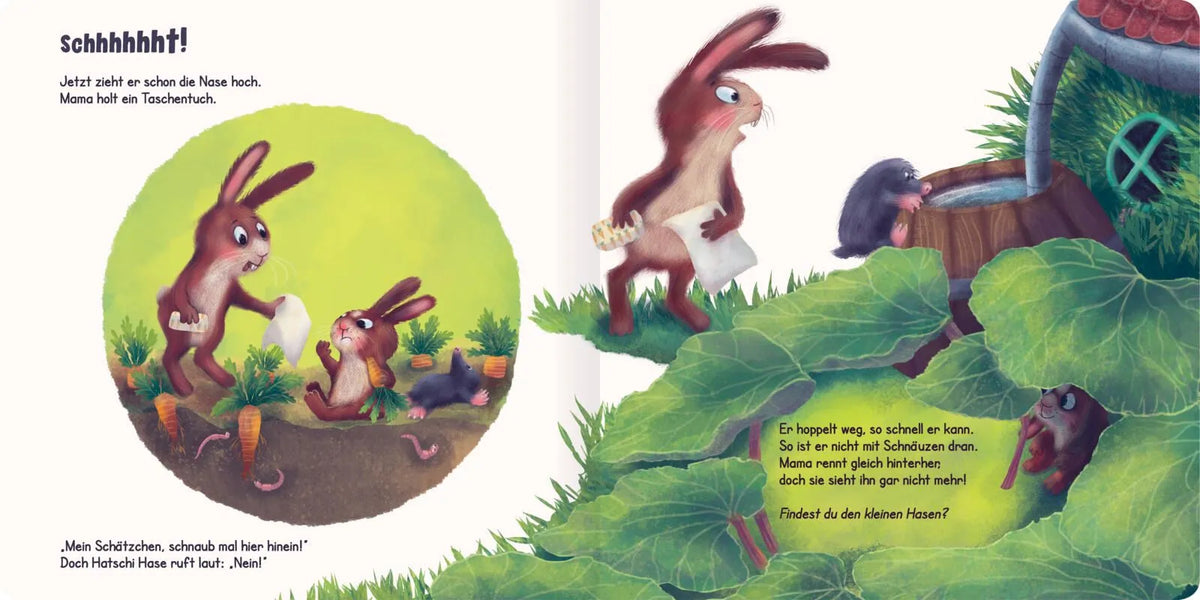 Detailansicht: Putz die Nase, Hatschi Hase! (Hardcover)