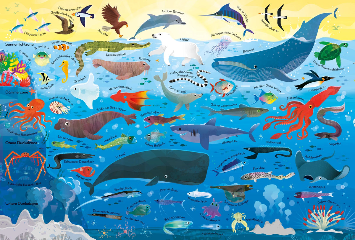 Puzzle & Buch: Tiere im Ozean – Ansicht