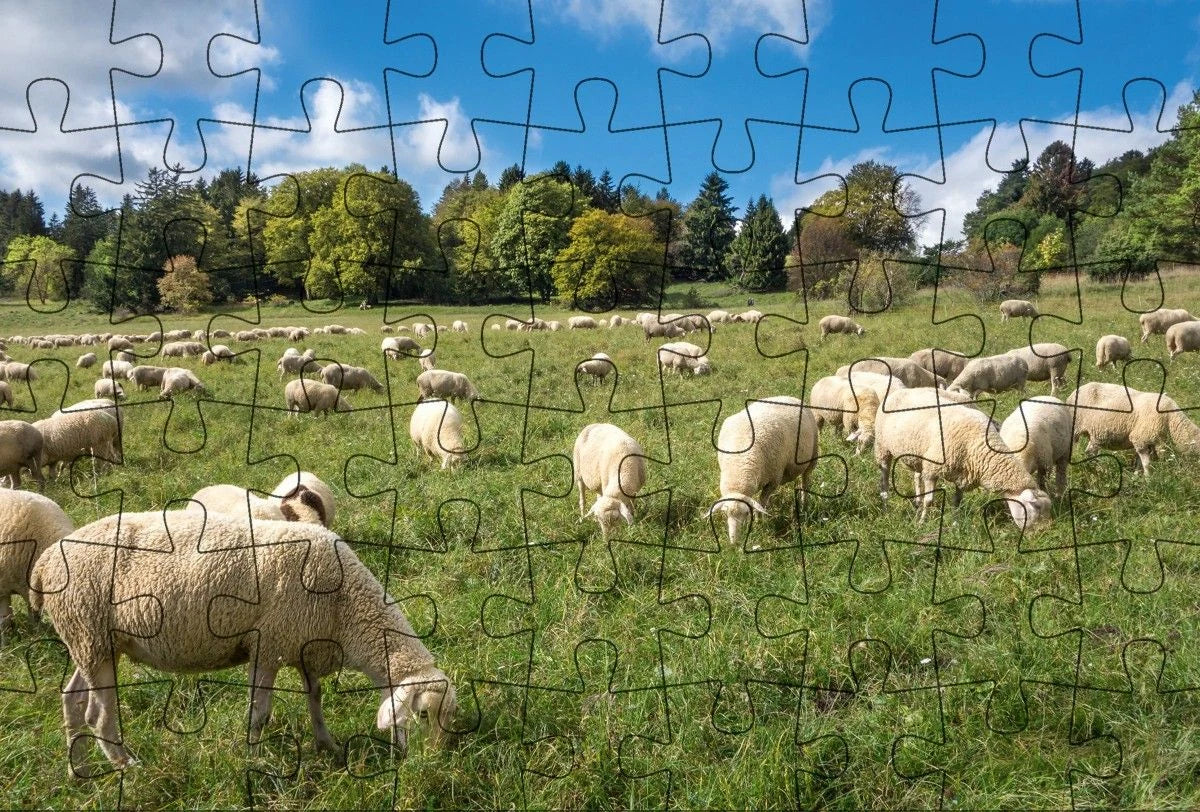 Puzzle: Puzzle-Postkarte Schwäbische Alb