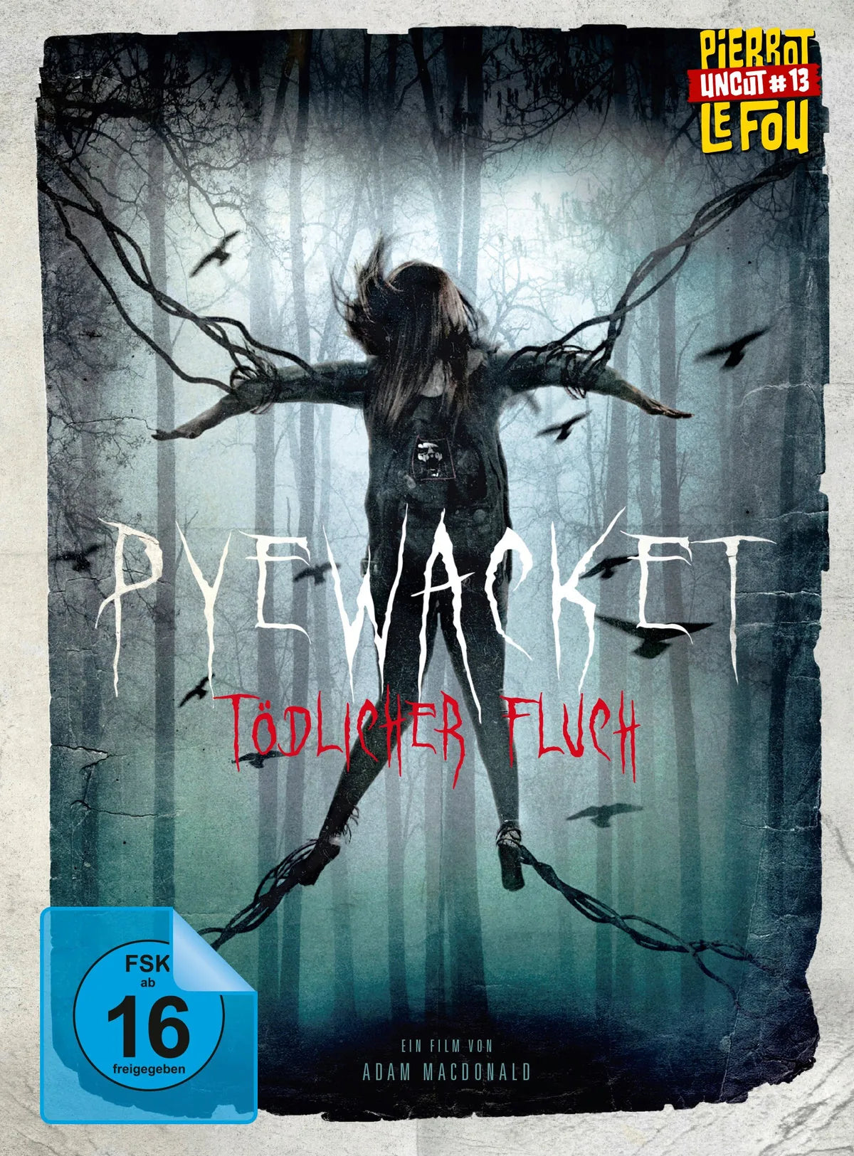 Pyewacket - Tödlicher Fluch (+ DVD) - Blu-ray Disc