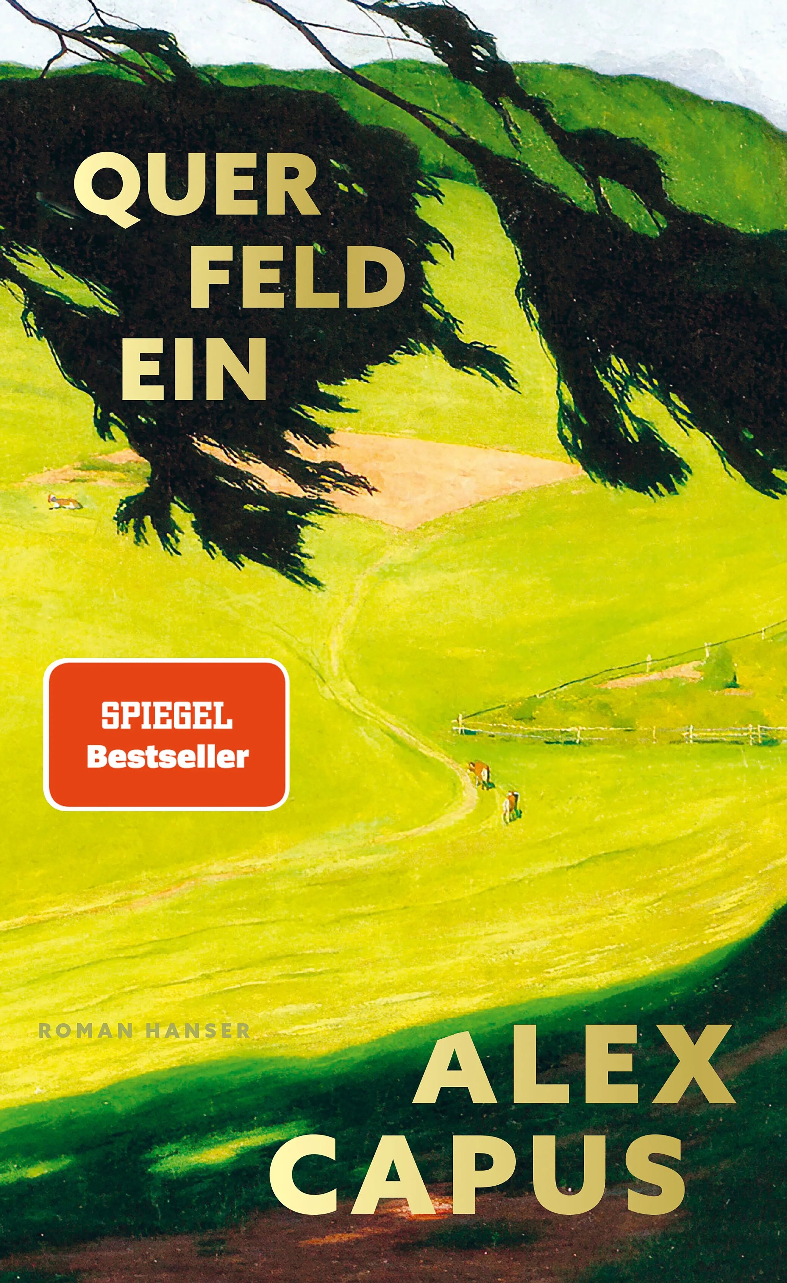 Cover: Querfeldein (Hardcover) von Alex Capus