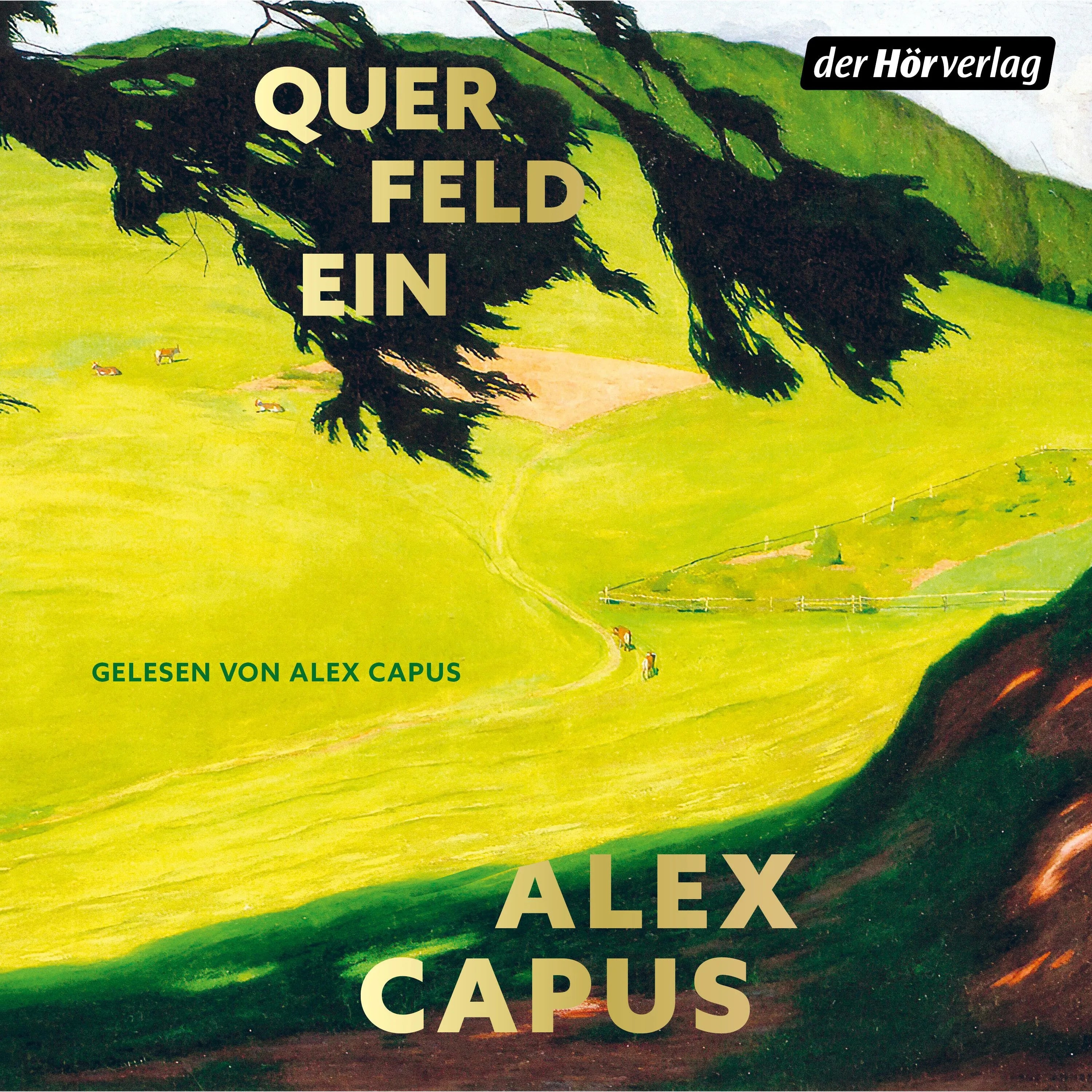 Cover: Querfeldein (Hörbuch Download) von Alex Capus