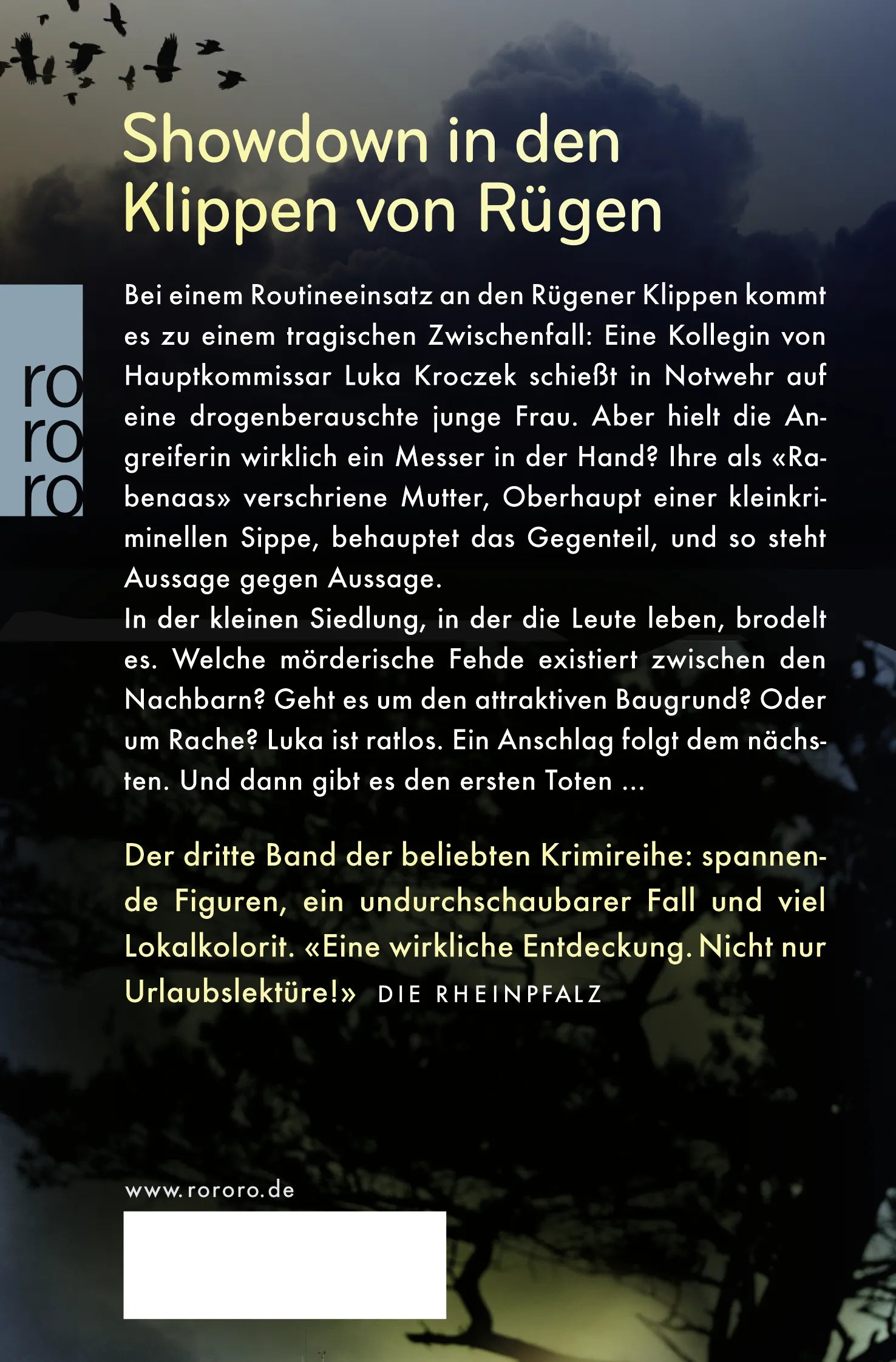 Buchrückseite von 'Rabenaas' mit Klappentext - Taschenbuch