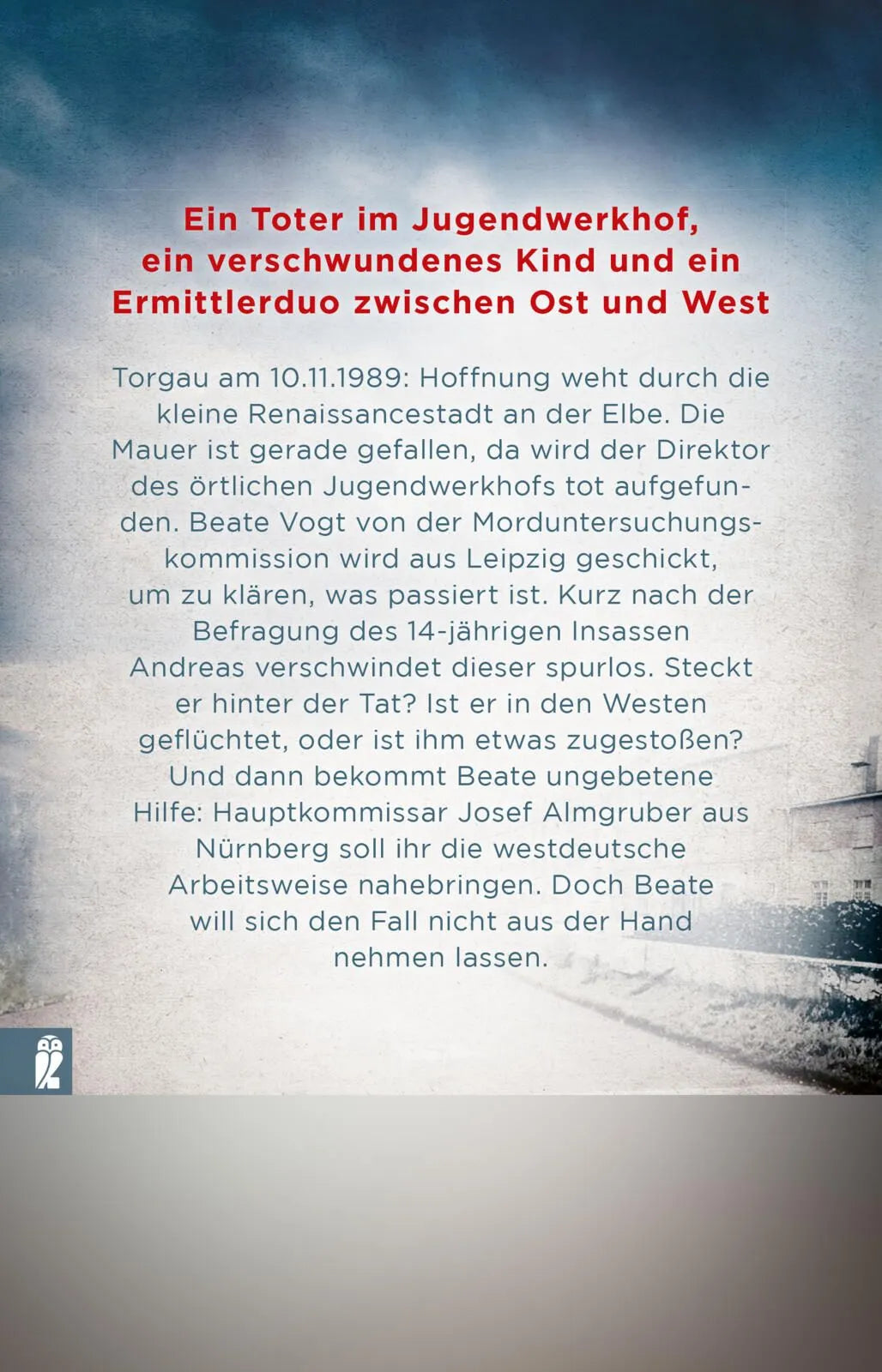 Rückseite: Rabenkinder (Taschenbuch)