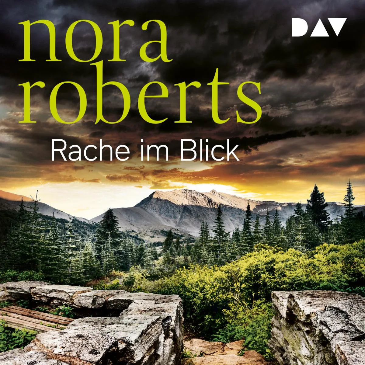 Cover: Rache im Blick (Hörbuch Download) von Nora Roberts