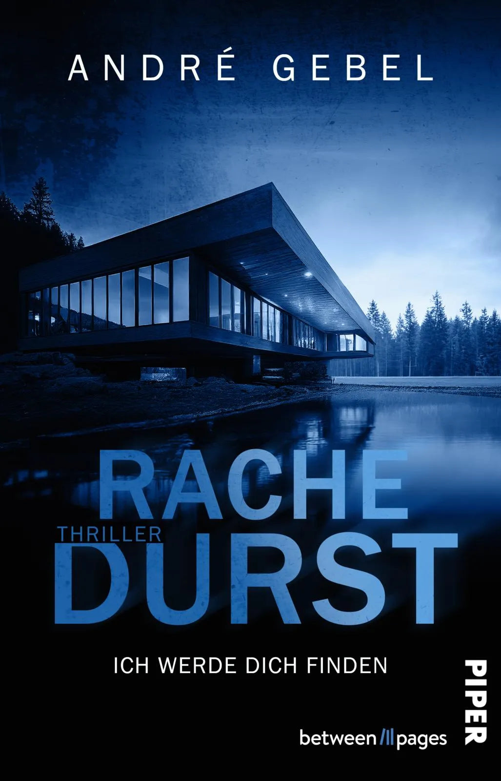 Buchcover von 'Rachedurst – Ich werde dich finden' - Taschenbuch von André Gebel