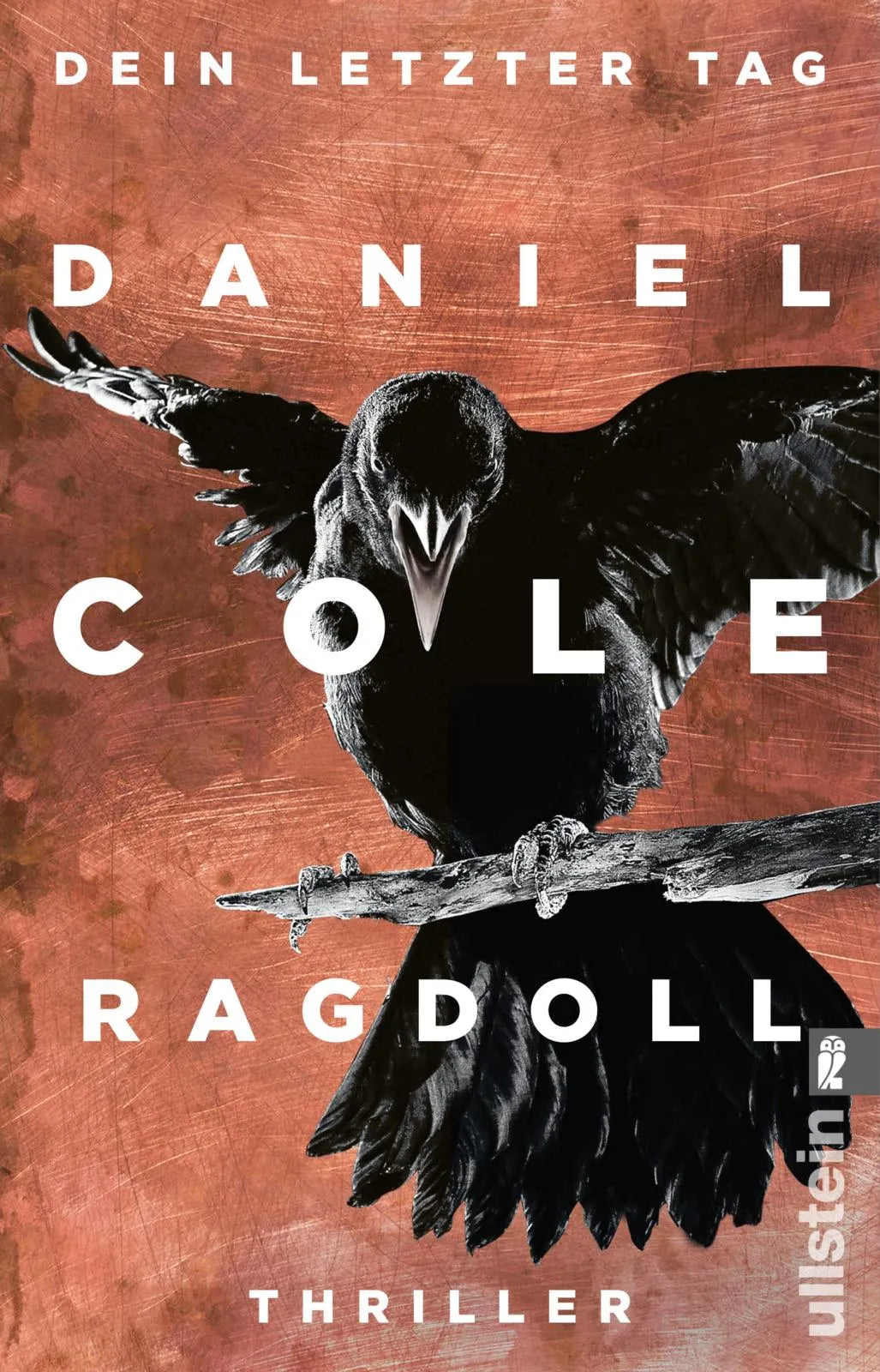 Buchcover von 'Ragdoll - Dein letzter Tag' - Taschenbuch von Daniel Cole