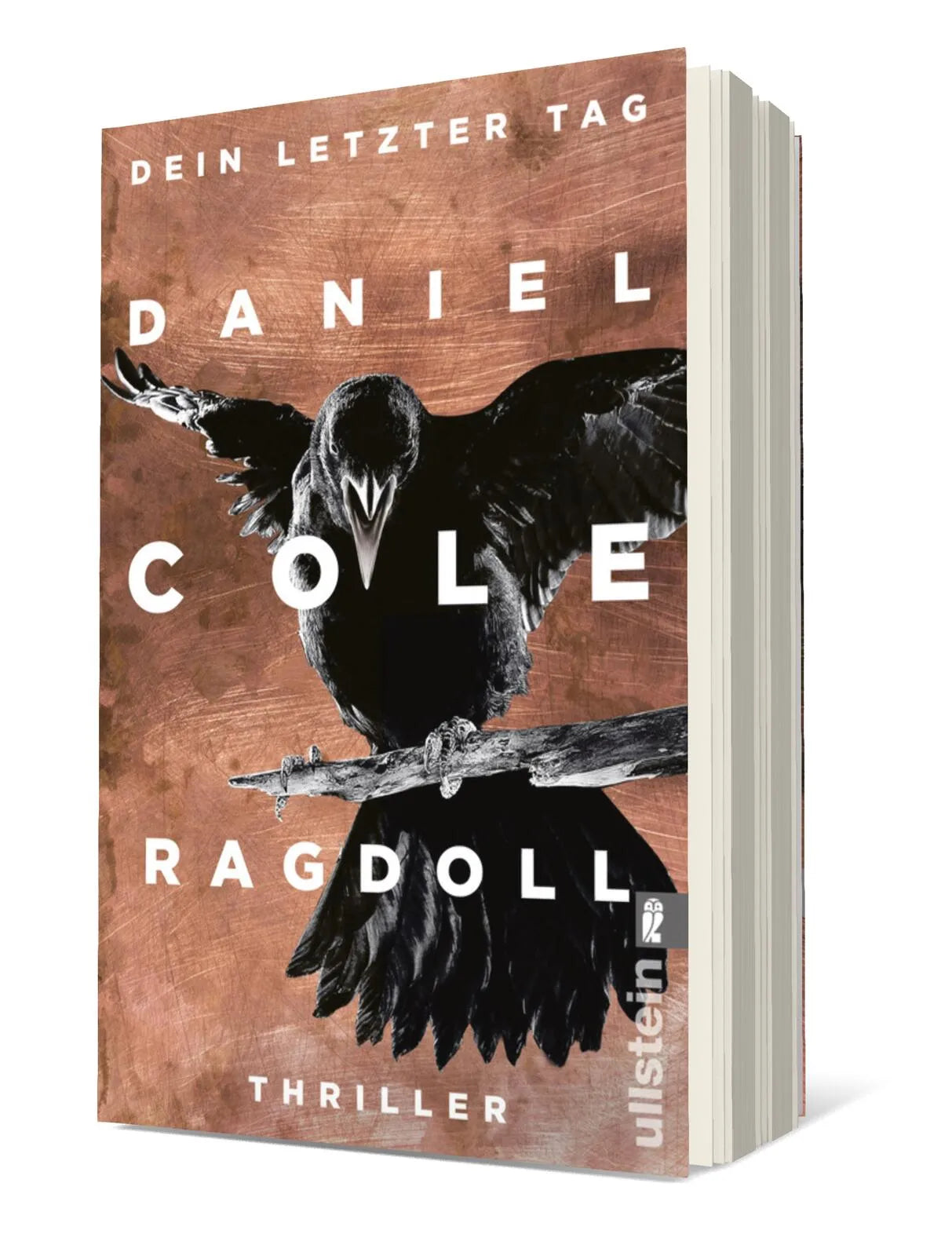 Produktansicht: Ragdoll - Dein letzter Tag (Taschenbuch)