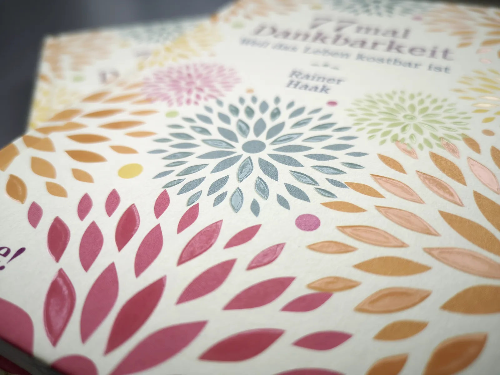 Produktansicht: 77 mal Dankbarkeit (Gebundene Ausgabe)