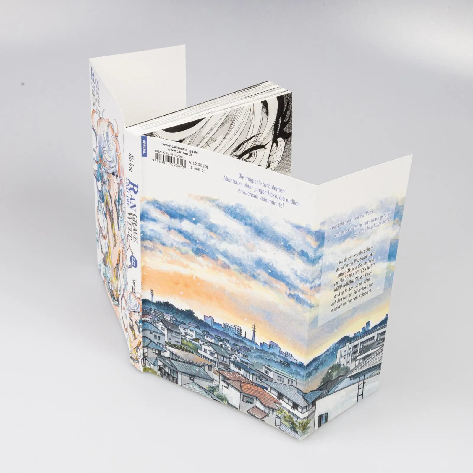 Aki Irie - Ran und die graue Welt 6