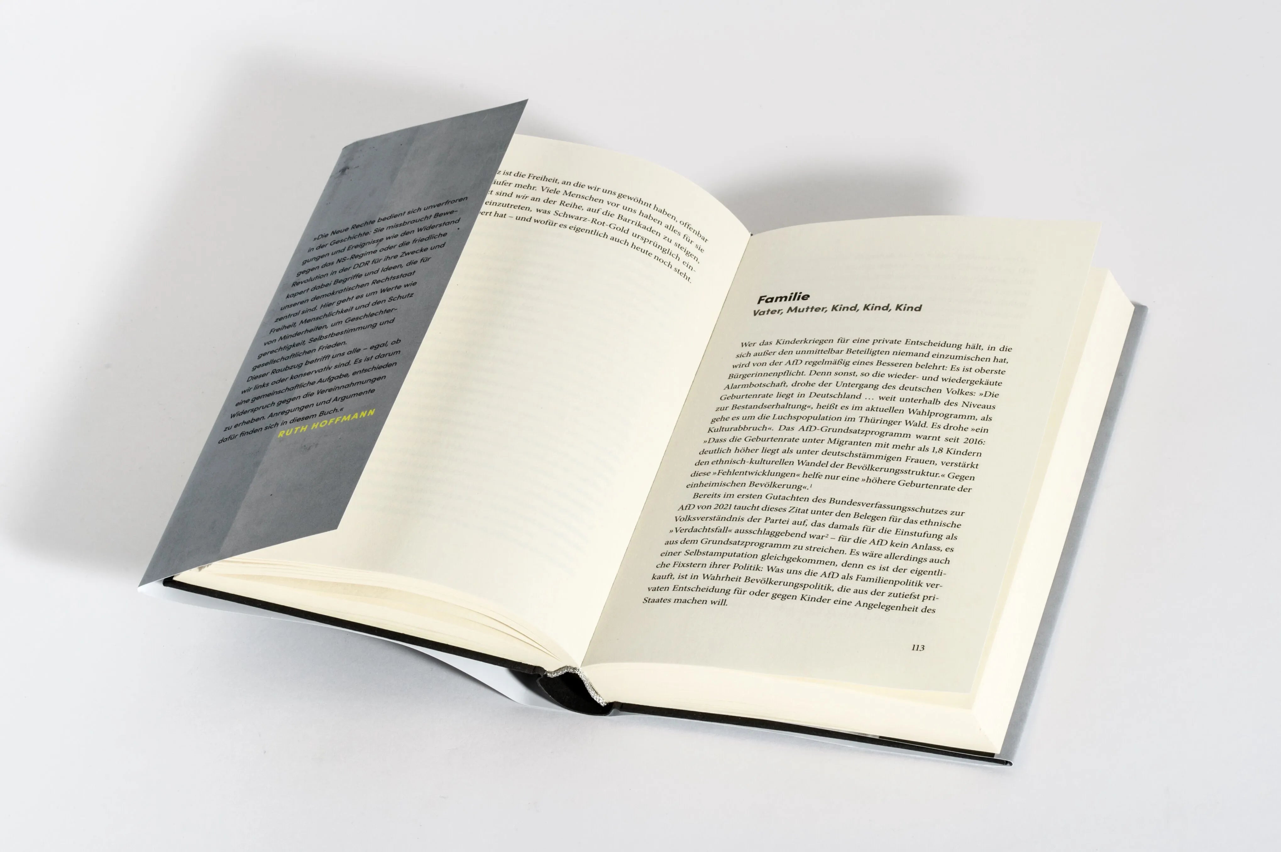 Detailansicht: Raubzug von rechts (Hardcover)