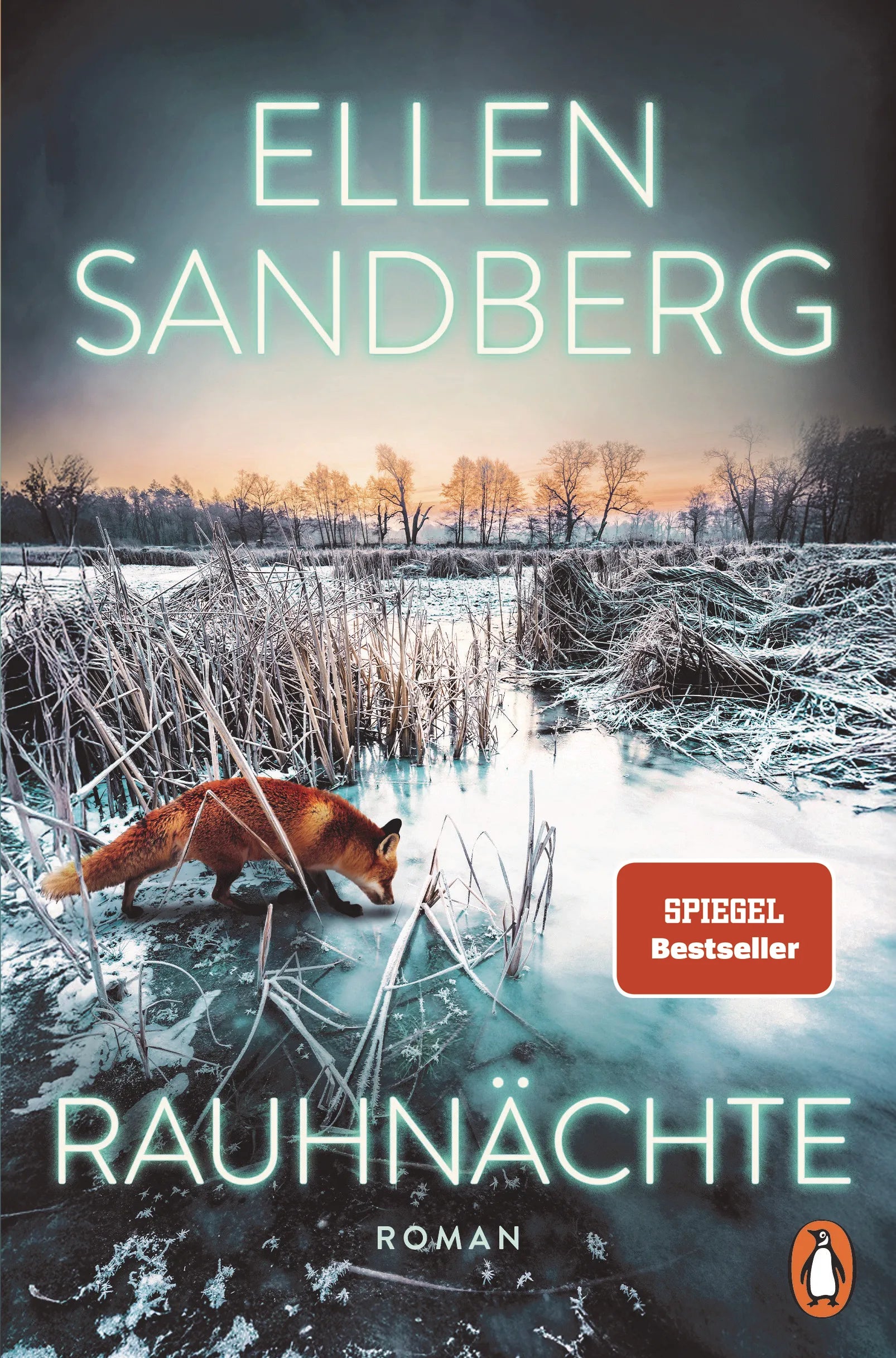Cover: Rauhnächte (E-Book) von Ellen Sandberg