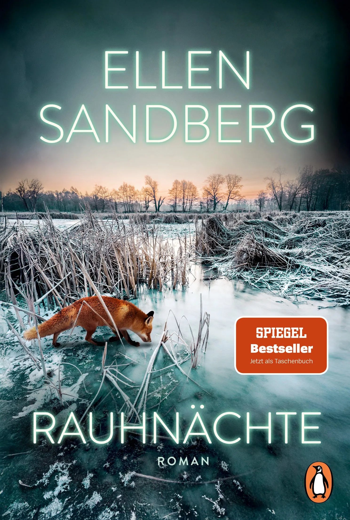 Cover: Rauhnächte (Taschenbuch) von Ellen Sandberg