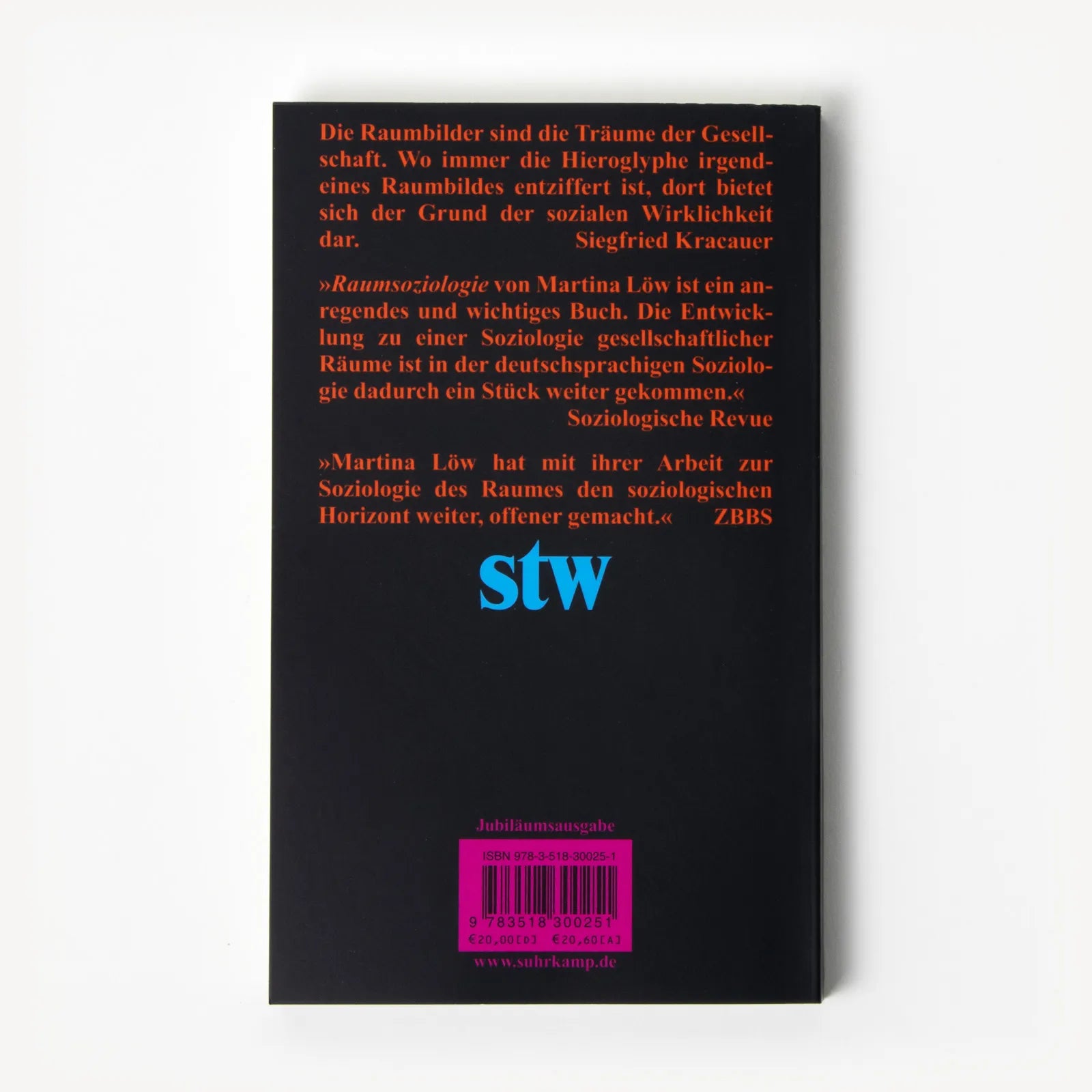 Buchrückseite von 'Raumsoziologie' mit Klappentext - Taschenbuch