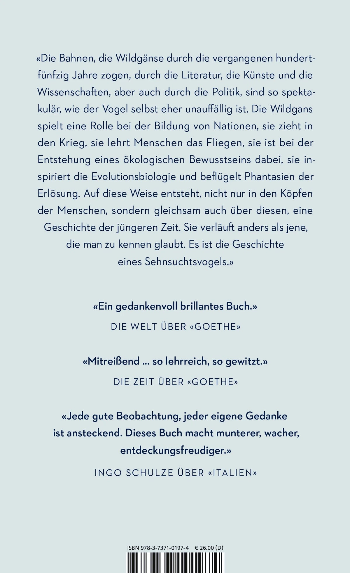 Rückseite: Rauschen in der Nacht (Hardcover)