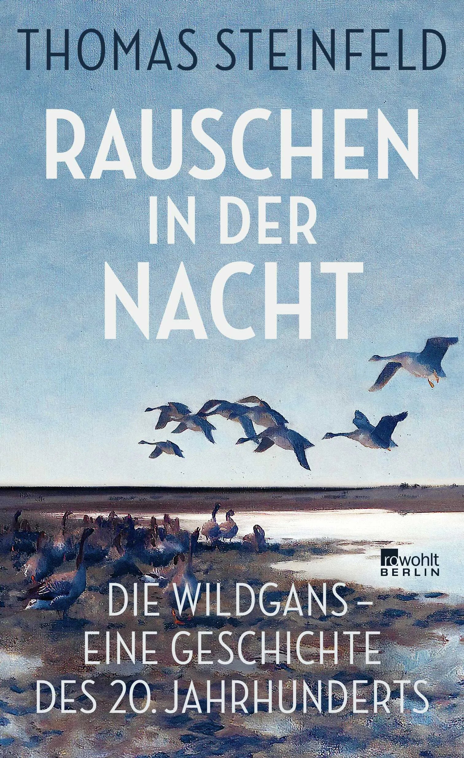 Buchcover von 'Rauschen in der Nacht' - Gebundene Ausgabe von Thomas Steinfeld