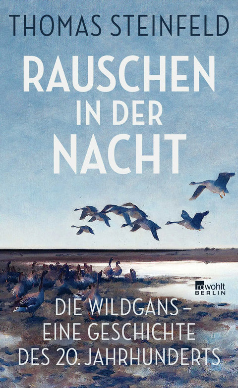 Rauschen in der Nacht