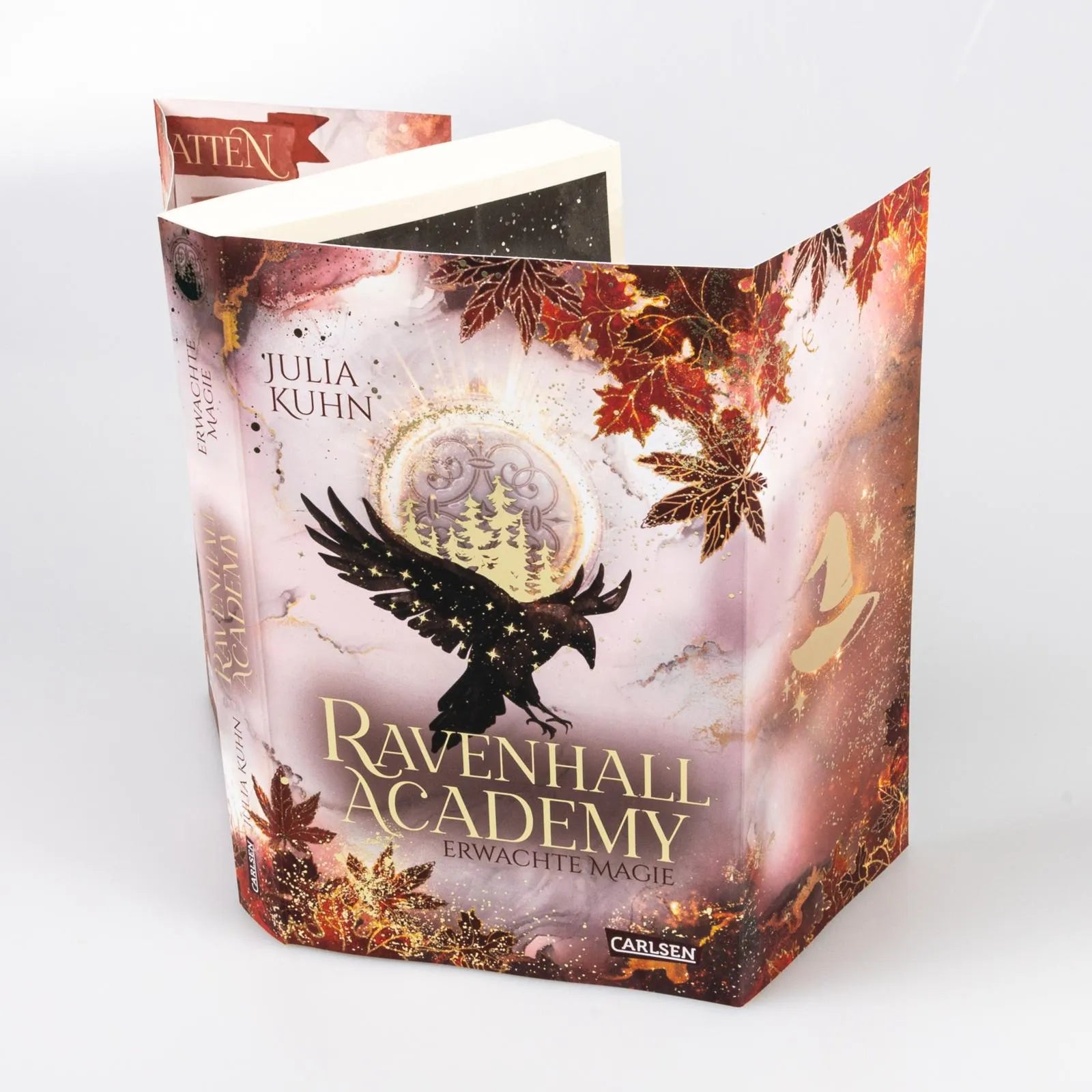 Abbildung von 'Ravenhall Academy 2: Erwachte Magie'