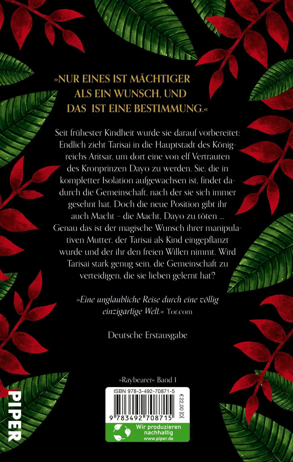 Buchrückseite von 'Raybearer – Die Masken der Aiyetoro' mit Klappentext - Gebundene Ausgabe