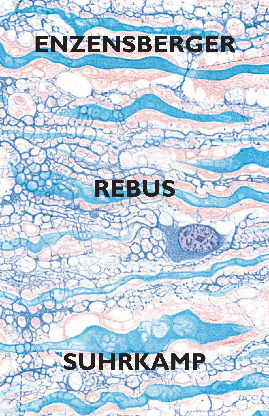 Buchcover von 'Rebus' - Gebundene Ausgabe von Hans Magnus Enzensberger