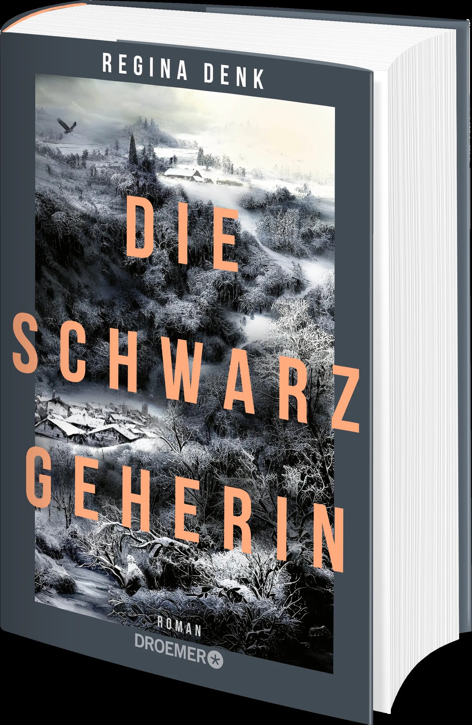 Produktansicht: Die Schwarzgeherin (Gebundene Ausgabe)