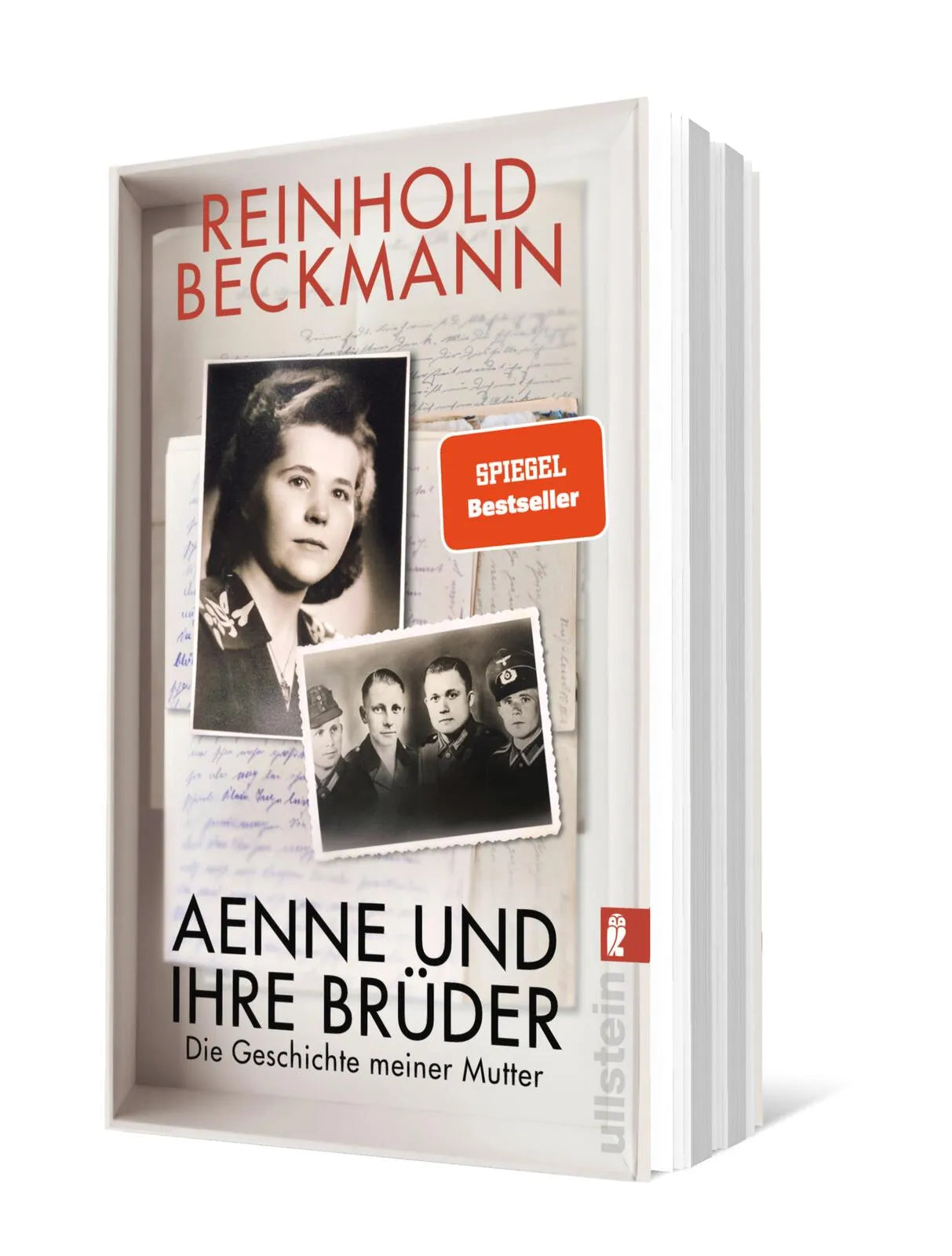 Produktansicht: Aenne und ihre Brüder (Taschenbuch)