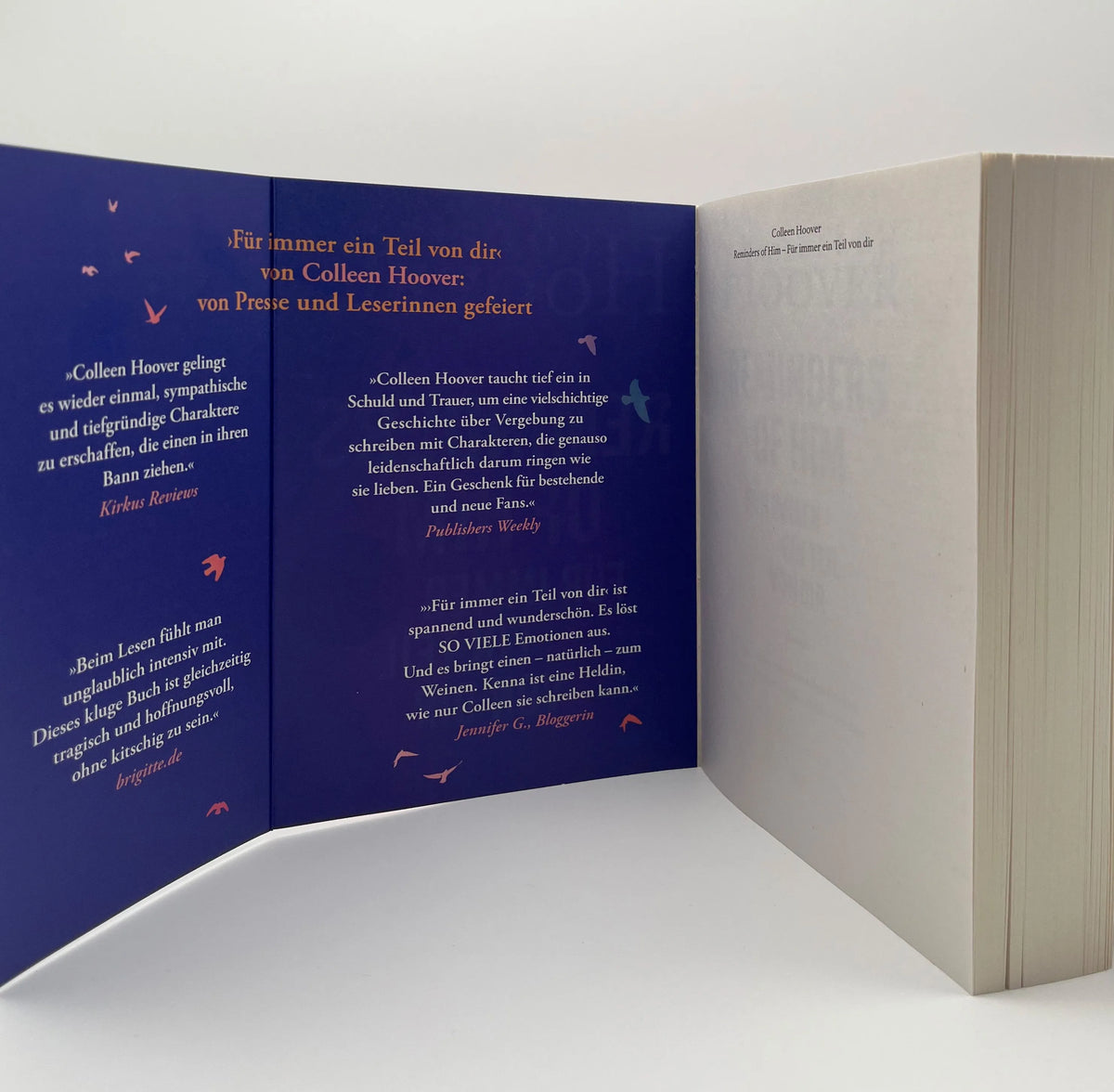 Detailansicht: Reminders of Him – Für immer ein Teil von dir (Taschenbuch)