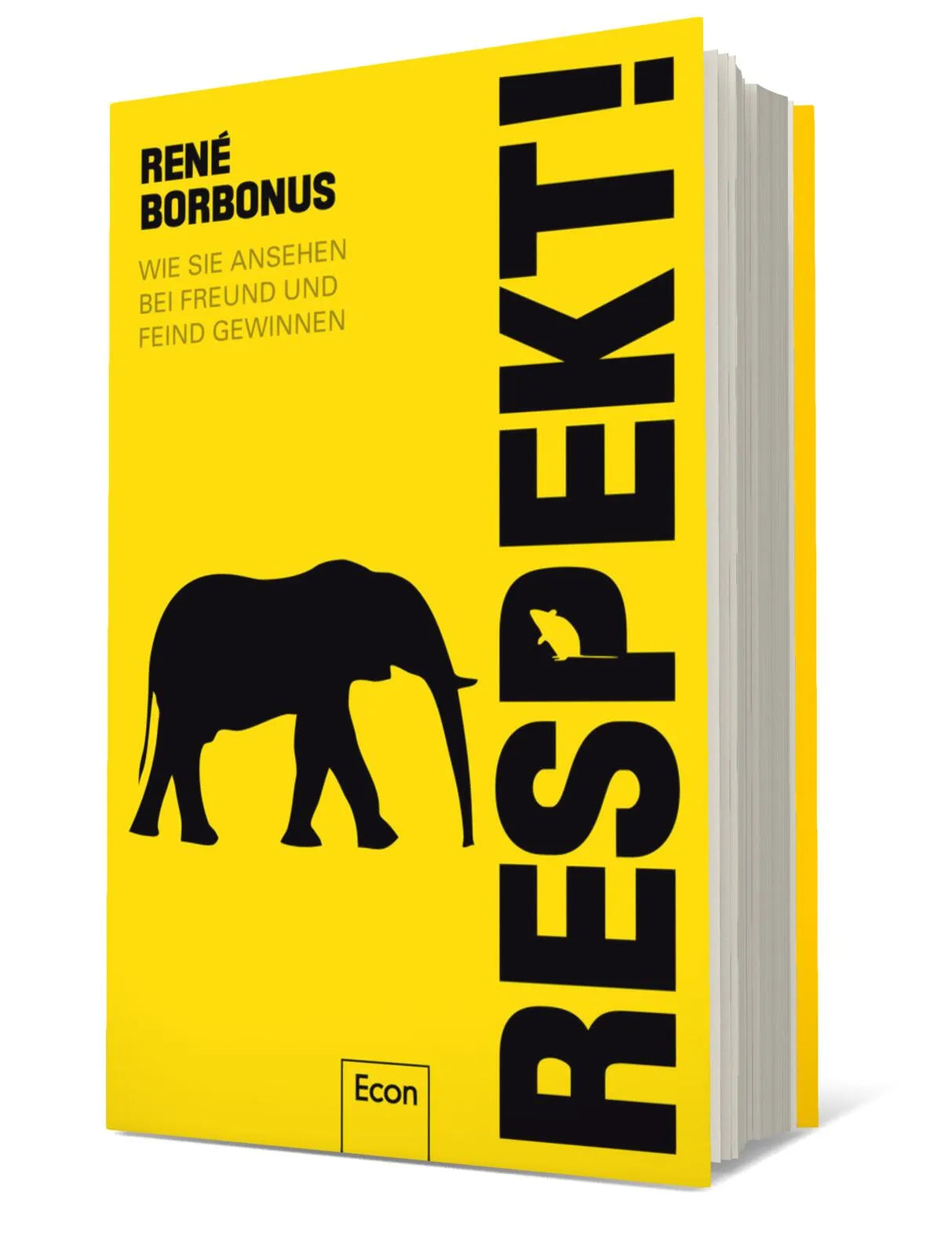 Produktansicht: Respekt! (Gebundene Ausgabe)