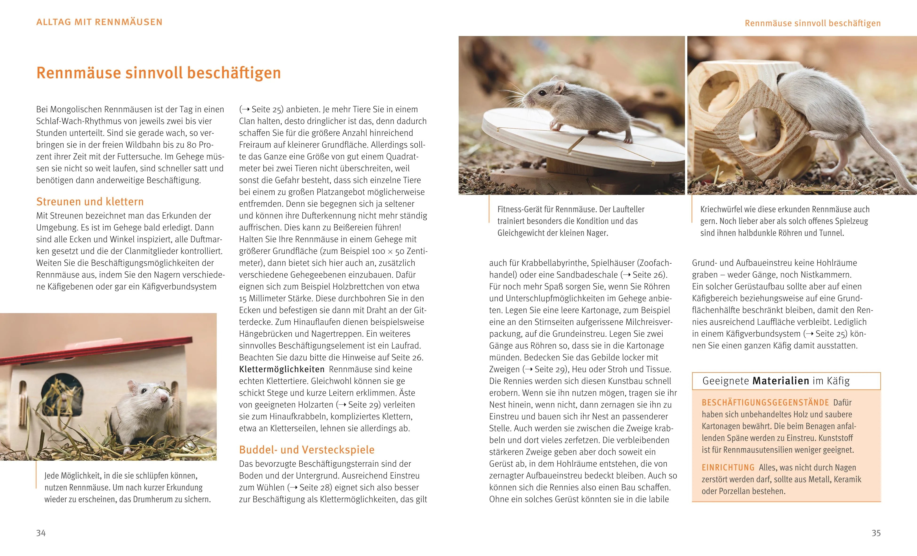 Produktansicht: Rennmäuse (Taschenbuch)
