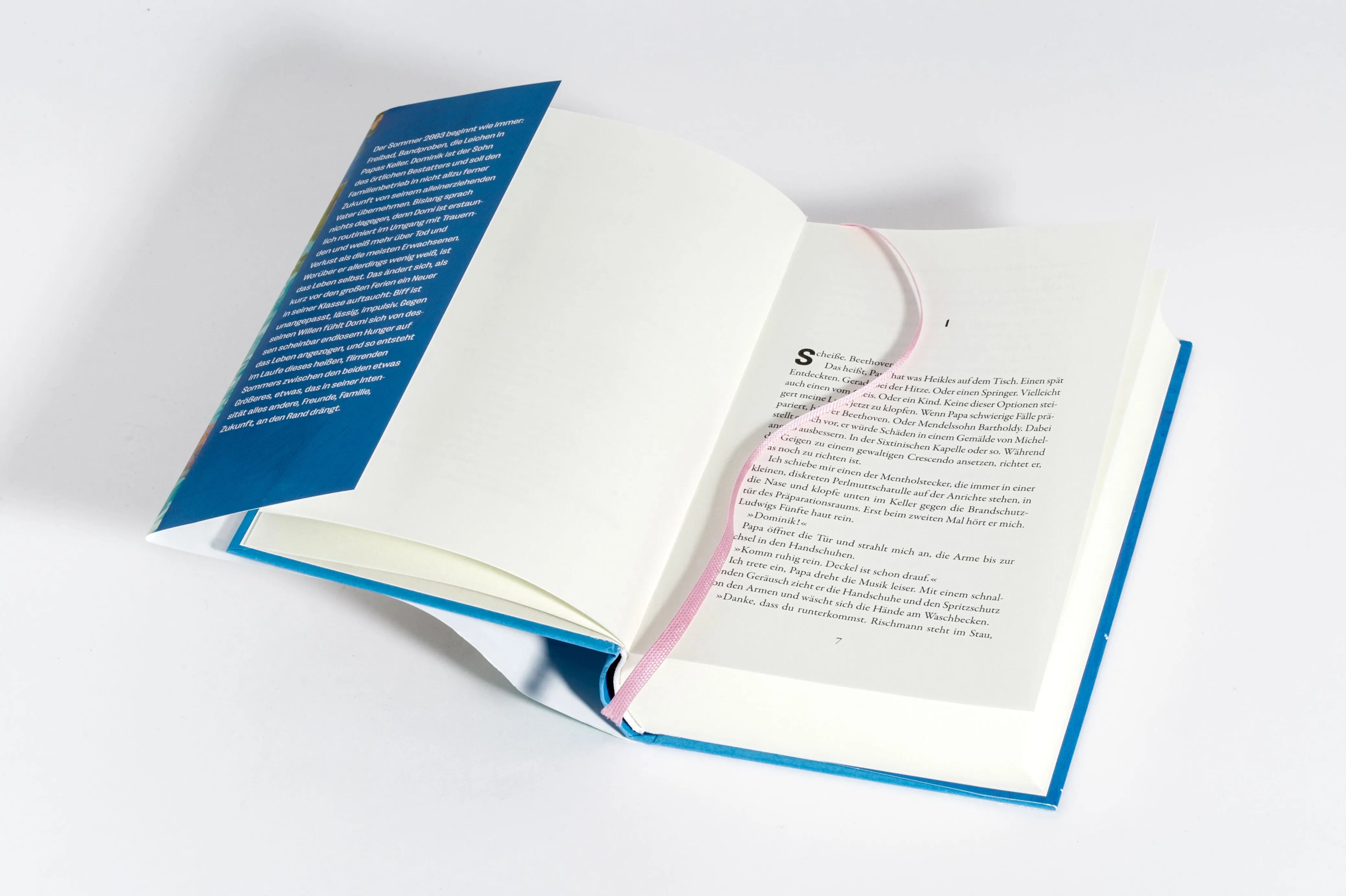 Detailansicht: Restsommer (Hardcover)
