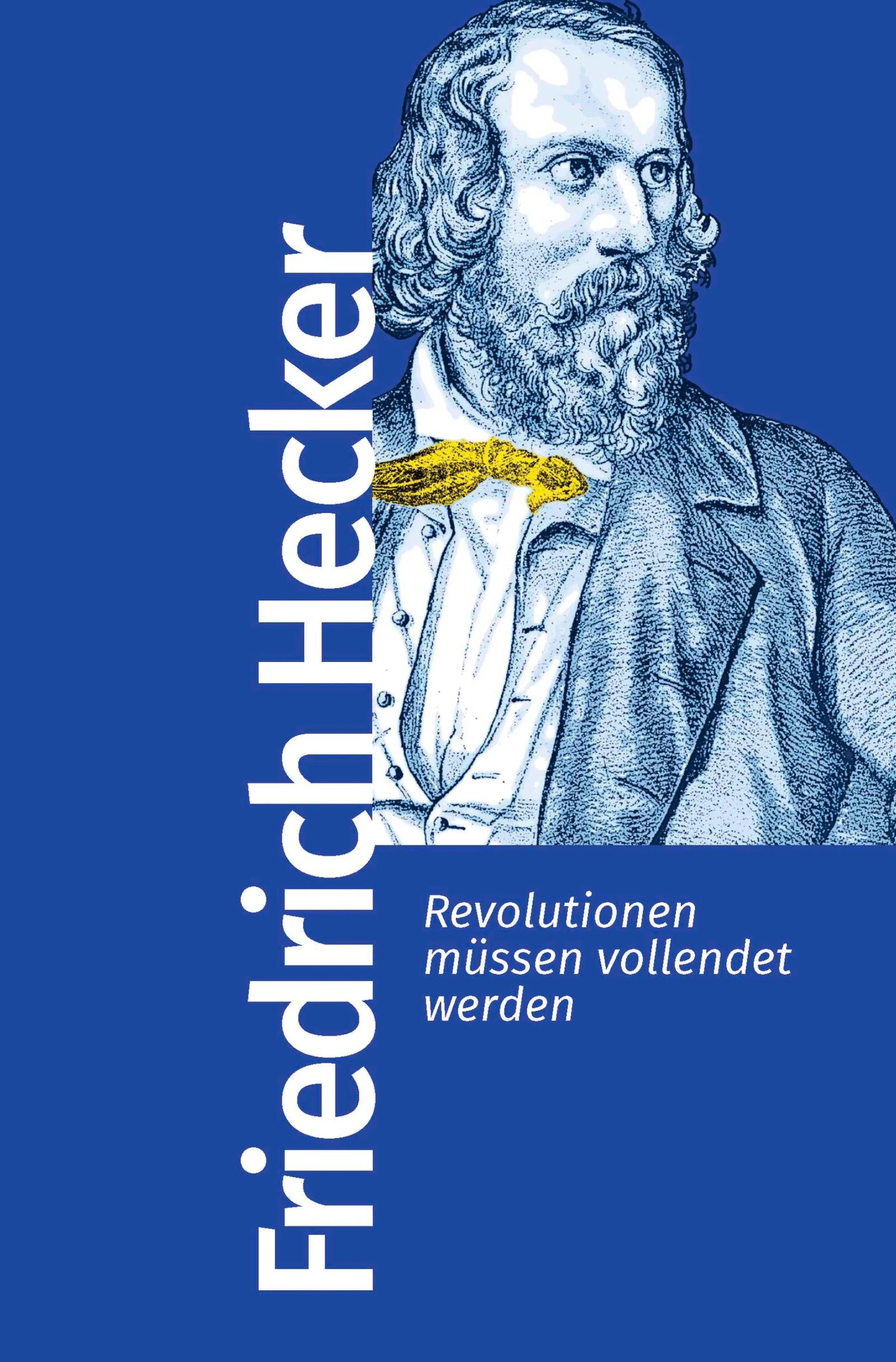 Cover: Revolutionen müssen vollendet werden (E-Book) von Friedrich Hecker