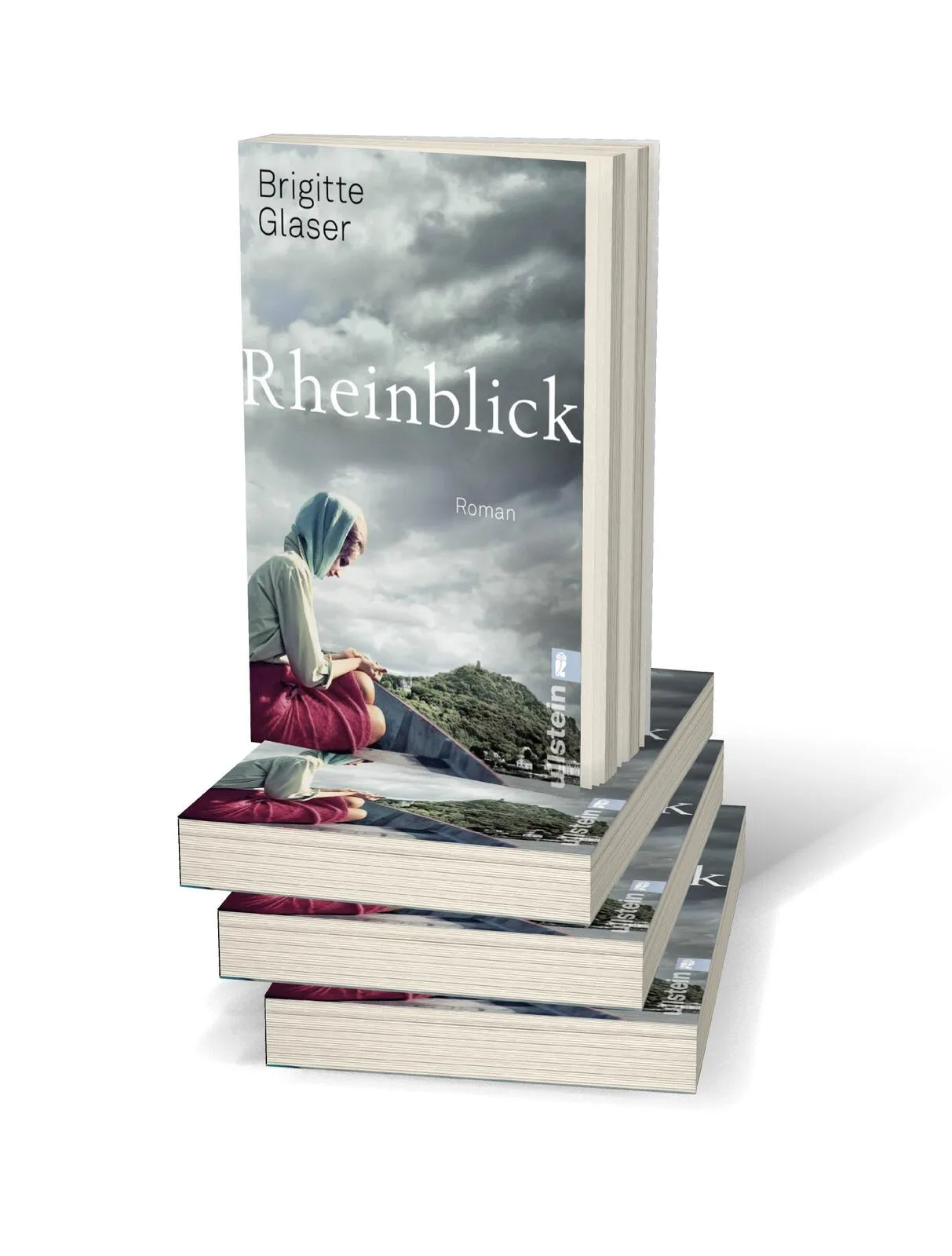 Abbildung von 'Rheinblick'