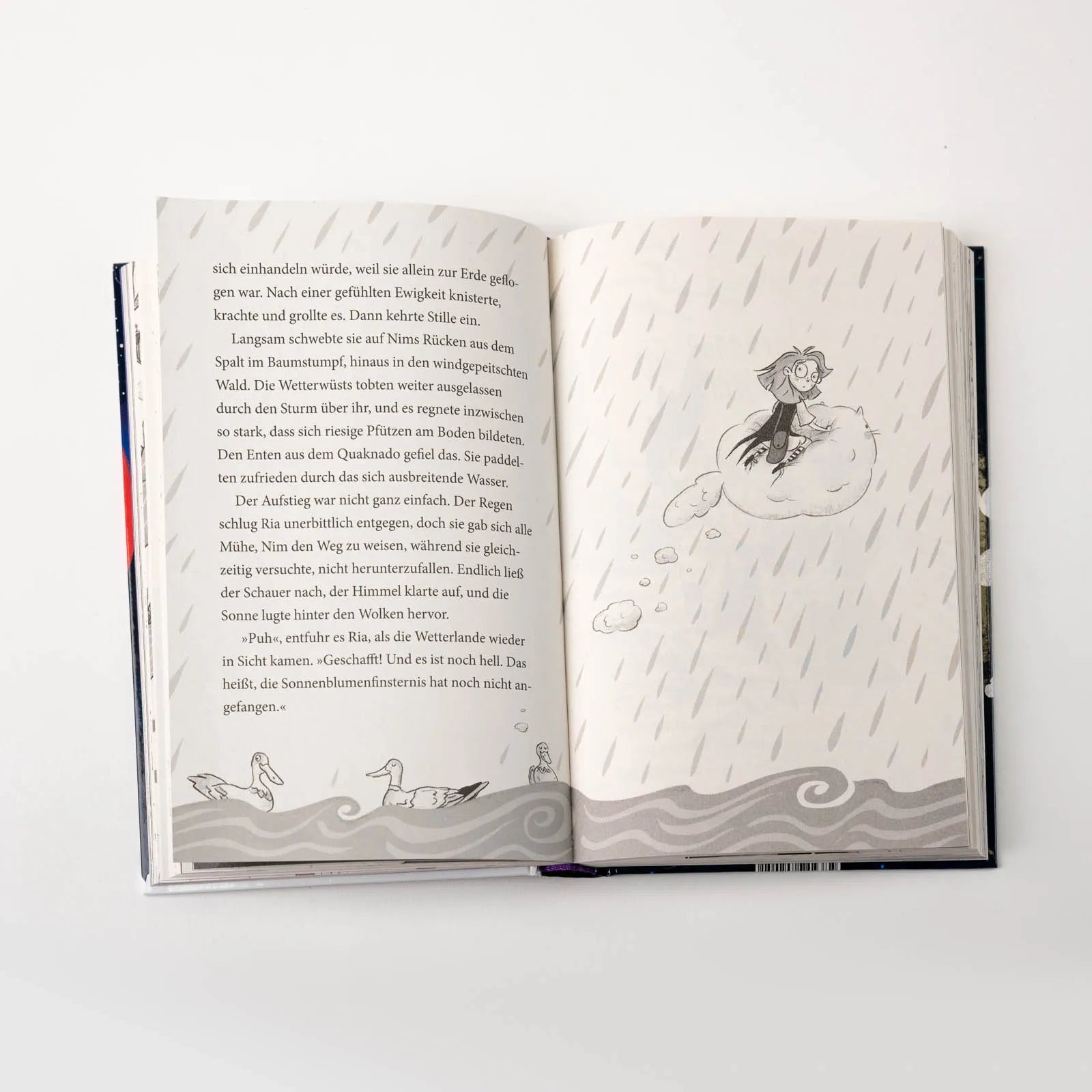 Detailansicht: Ria Regenbogen und die Wetterlinge (Hardcover)