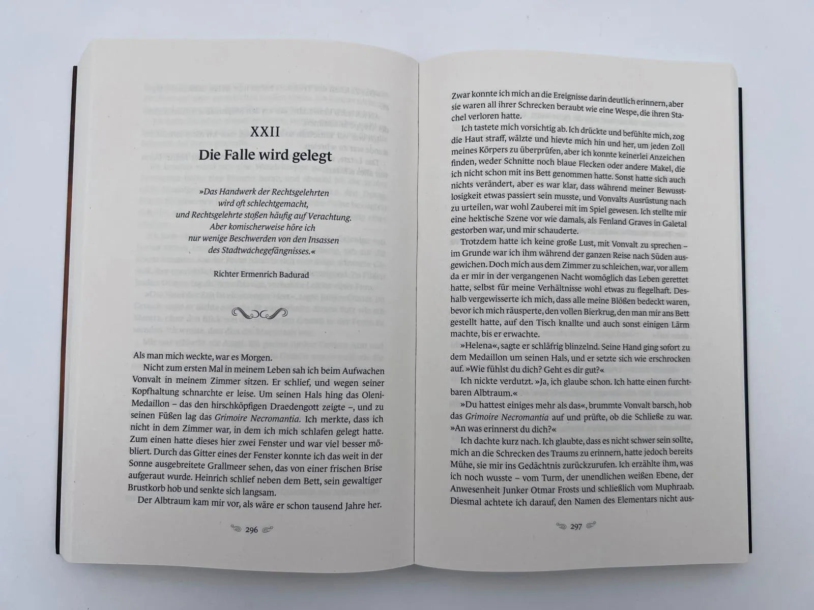 Produktansicht: Im Netz des Dämons (Paperback)
