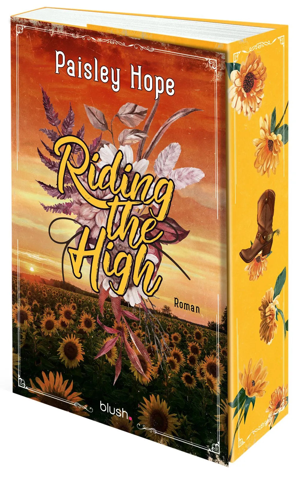 Cover: Riding The High (Paperback) von Paisley Hope