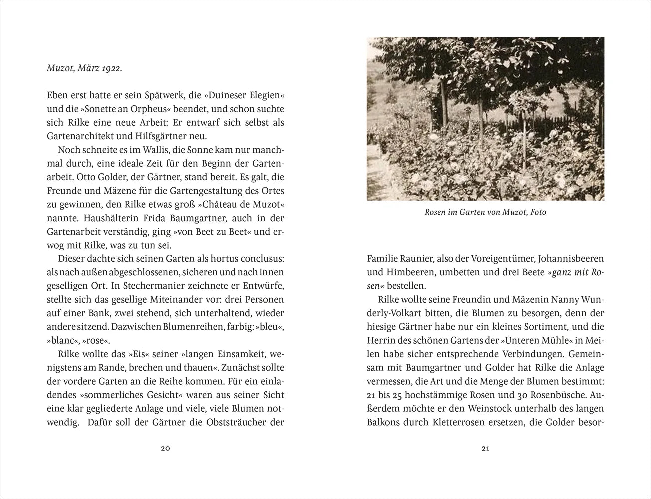 Detailansicht: Rilke als Gärtner (Hardcover)