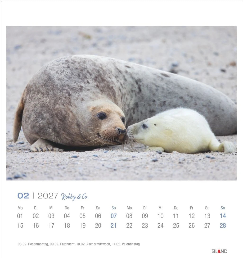 Robby & Co. Postkartenkalender 2027 – Ansicht
