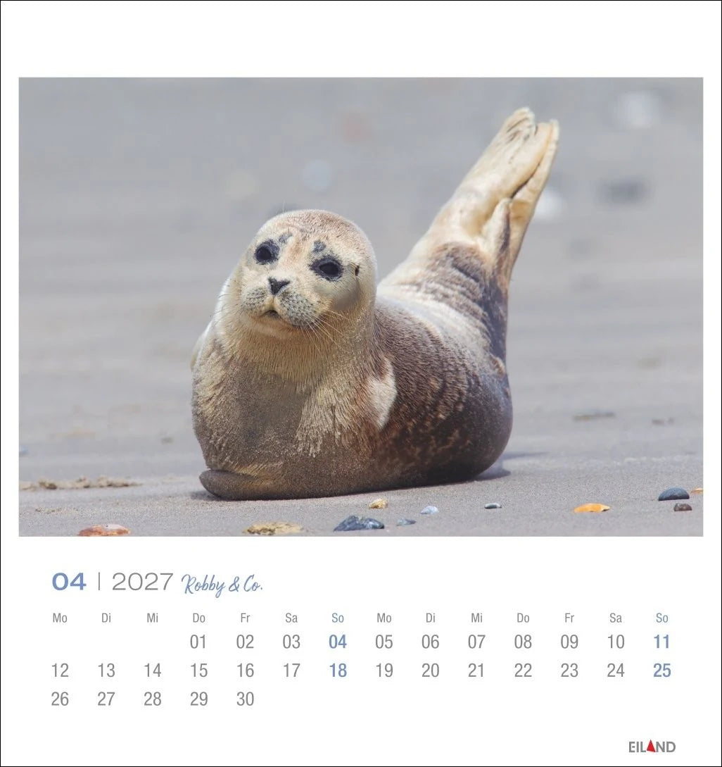 Robby & Co. Postkartenkalender 2027 – Ansicht