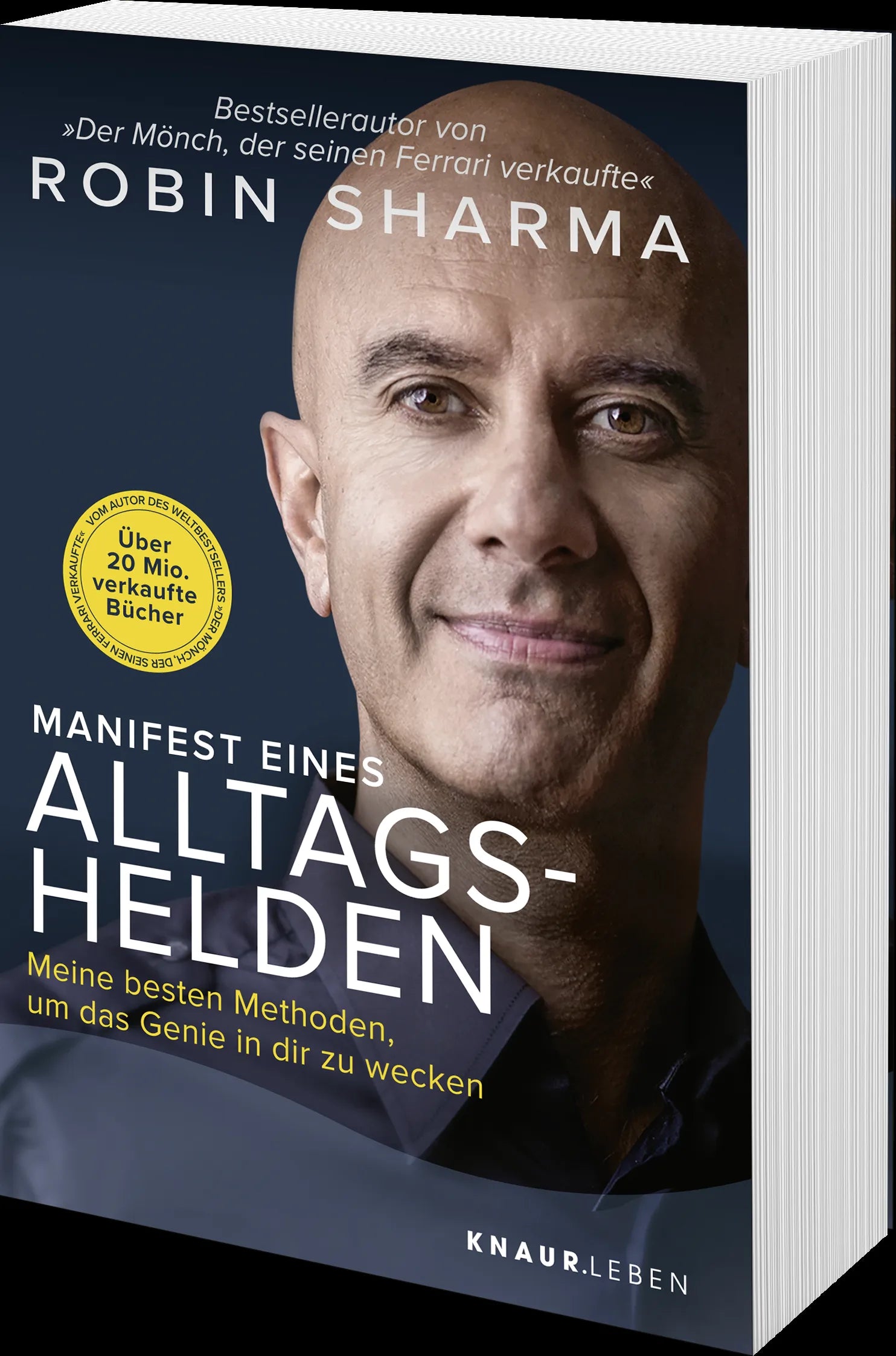 Produktansicht: Manifest eines Alltagshelden (Taschenbuch)