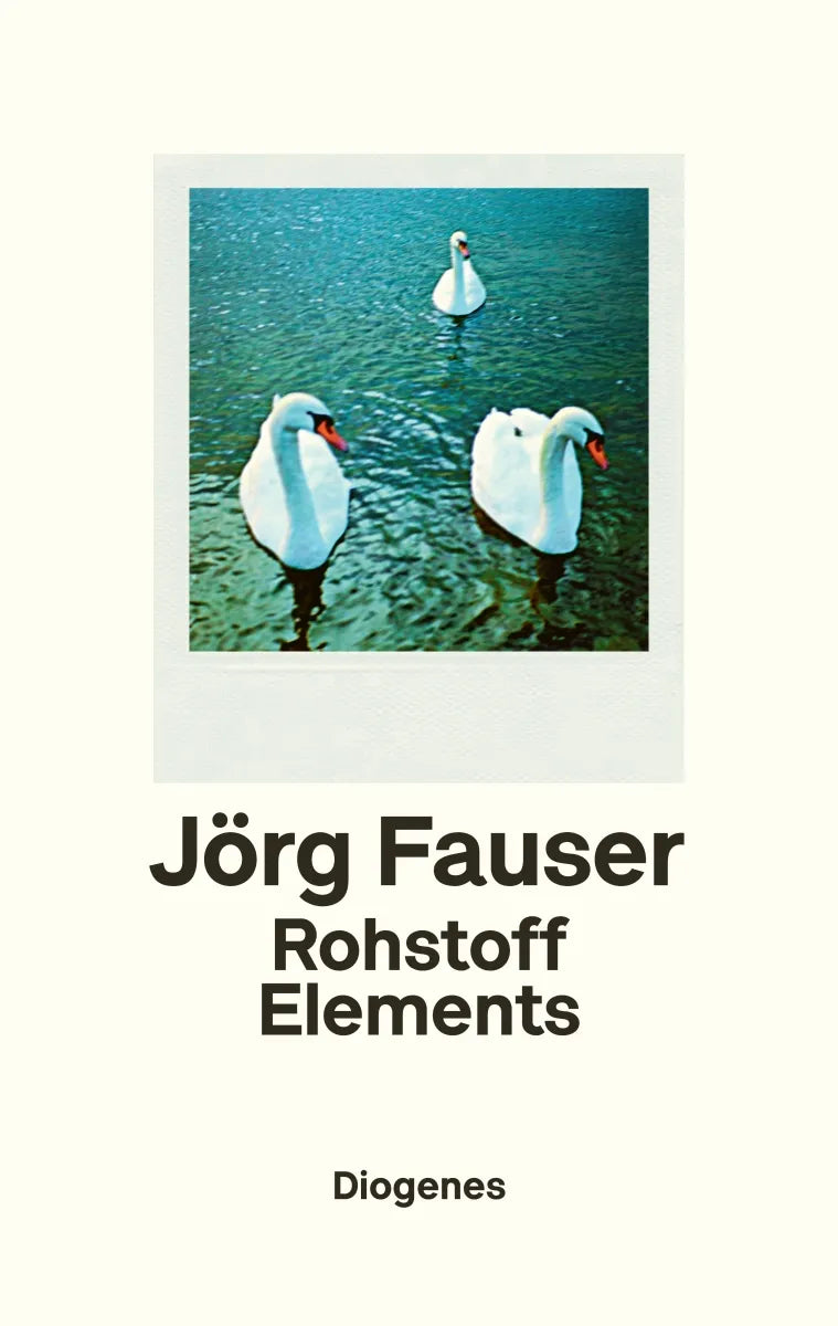 Buchcover von 'Rohstoff Elements' - Gebundene Ausgabe von Jörg Fauser
